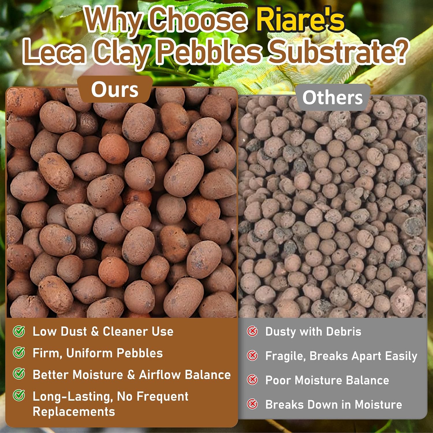 Riare 4LBS Expanded Clay Balls Terrarium Substrate for Reptiles - 100% Organic Lightweight Clay Pebbles Substrate Frogs False Bottom Substrate, Bioactive Terrarium Substrate for Drainage and Moisture - Image 5