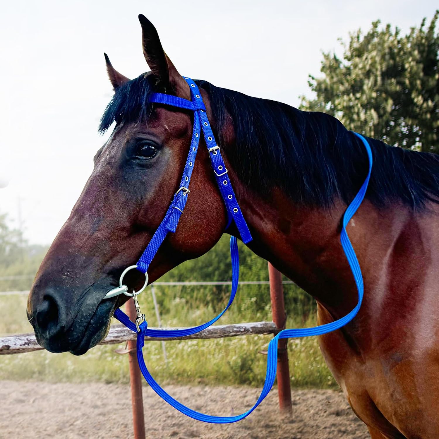Adjustable Horse Bridle with Stainless Steel Bit, Black Nylon Headstall with Reins, Non-Slip Design - Image 2