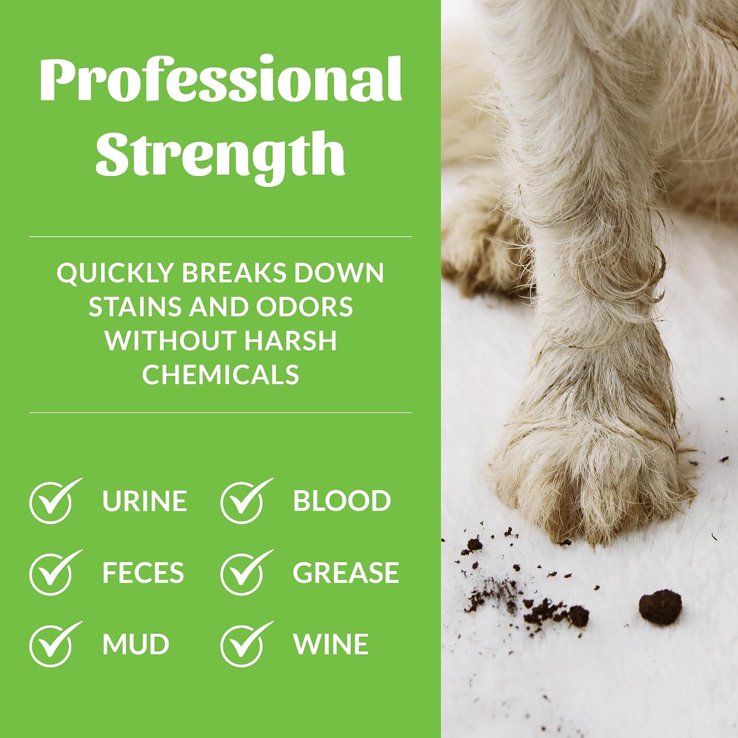 SKOUT'S HONOR Pet Stain and Odor Remover - Powerful Cleaner for Dog Urine, sweat, and other messes, Destroys and Removes Odor and Stain Molecules, Eco-Friendly Formula for Carpets and Home, 35oz - Image 3