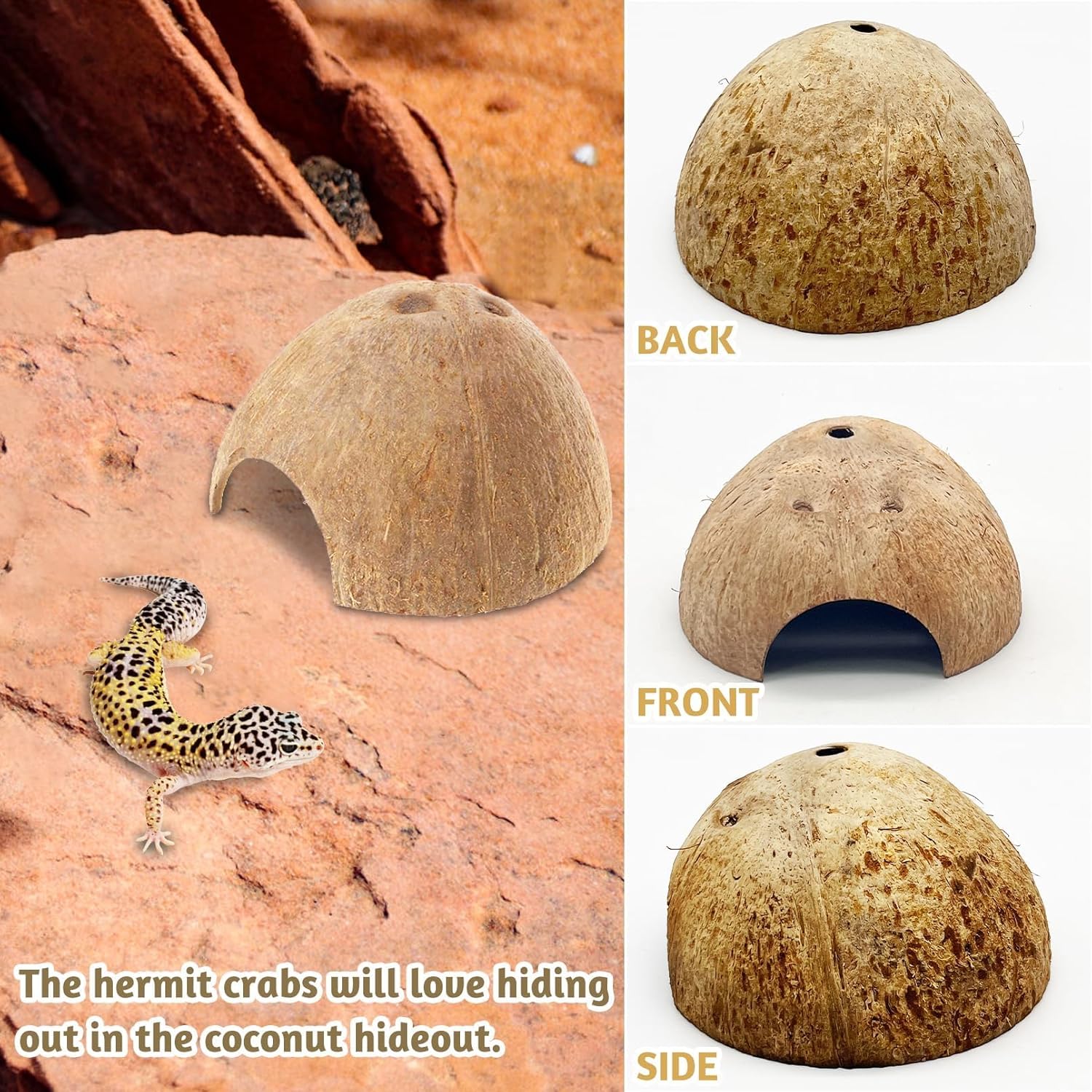 PINVNBY 2 PCS Natural Coconut Reptile Hideouts Lizard Coco Hut Hermit Crab Hut Aquarium Fish Hide Cave Spider Snail Climber Toys - Image 4