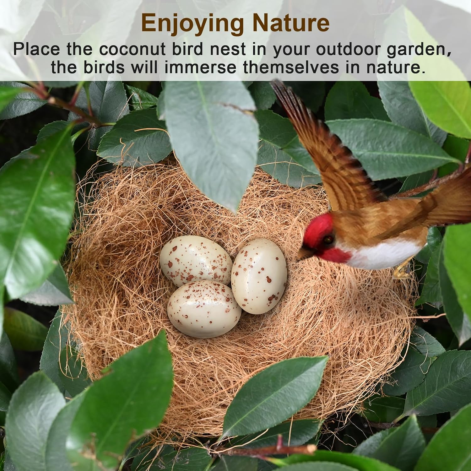 Sukh 2PCS Coconut Fiber for Bird Nest - Canary Nesting Material Coconut Bird Nest Finch Coconut Fiber Loose Bedding Substrate for Laying Eggs,Resting Materials for Birds, Hummingbird Parakeet - Image 5