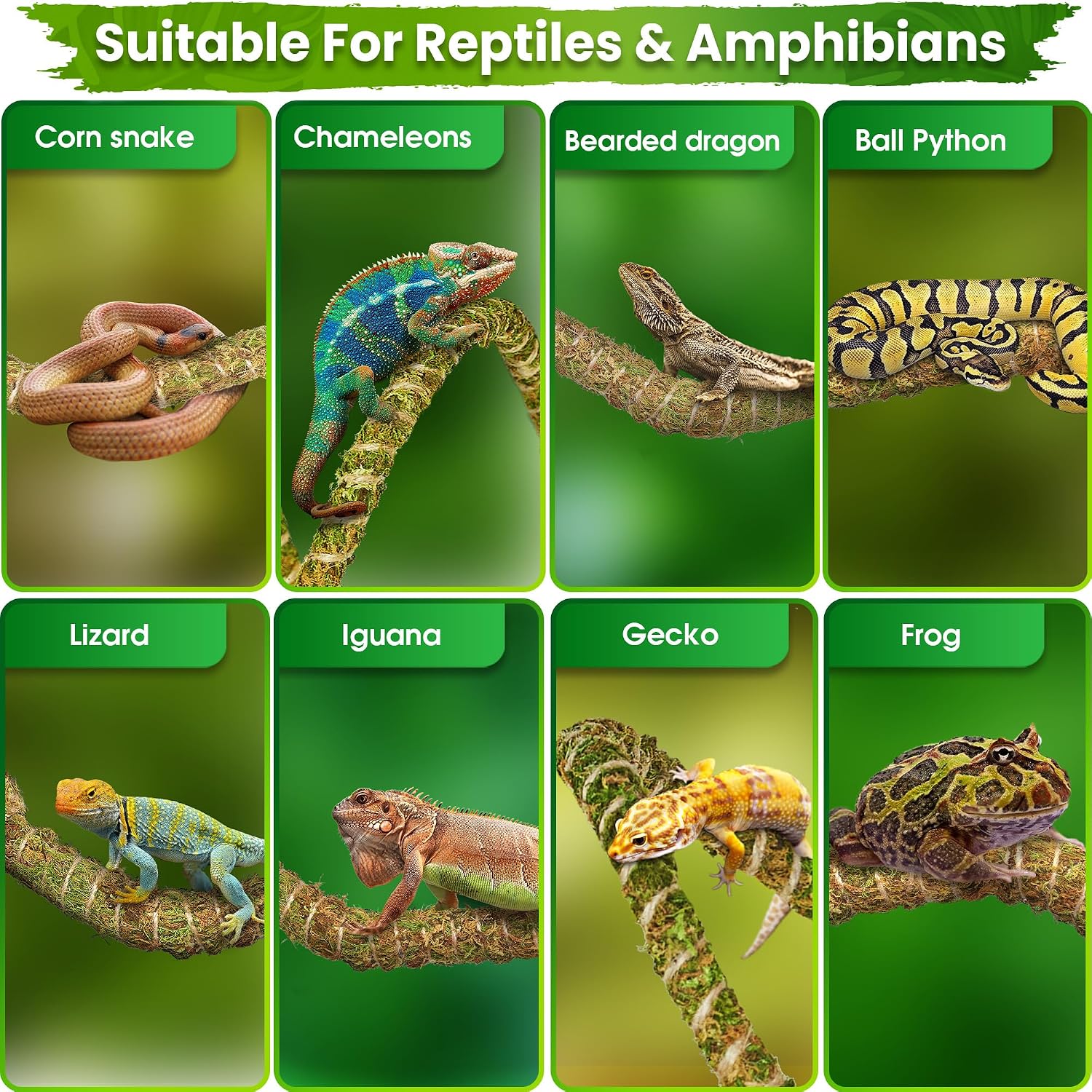 Duspro 10FT Reptile Vines for Climbing Bendable Branch for Reptile Natural Moss Rope Jungle Decor for Bearded Dragon, Chameleon Tank Accessories, Snake Gecko Lizard Terrarium - Image 5