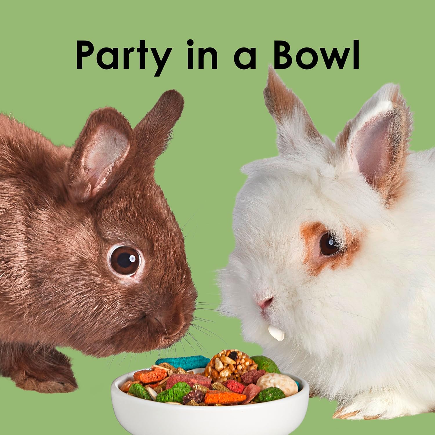Kaytee Fiesta Rabbit Food, Nutritious and Fun Blend, Supports Dental Health and Digestion, 3.5 pounds - Image 10