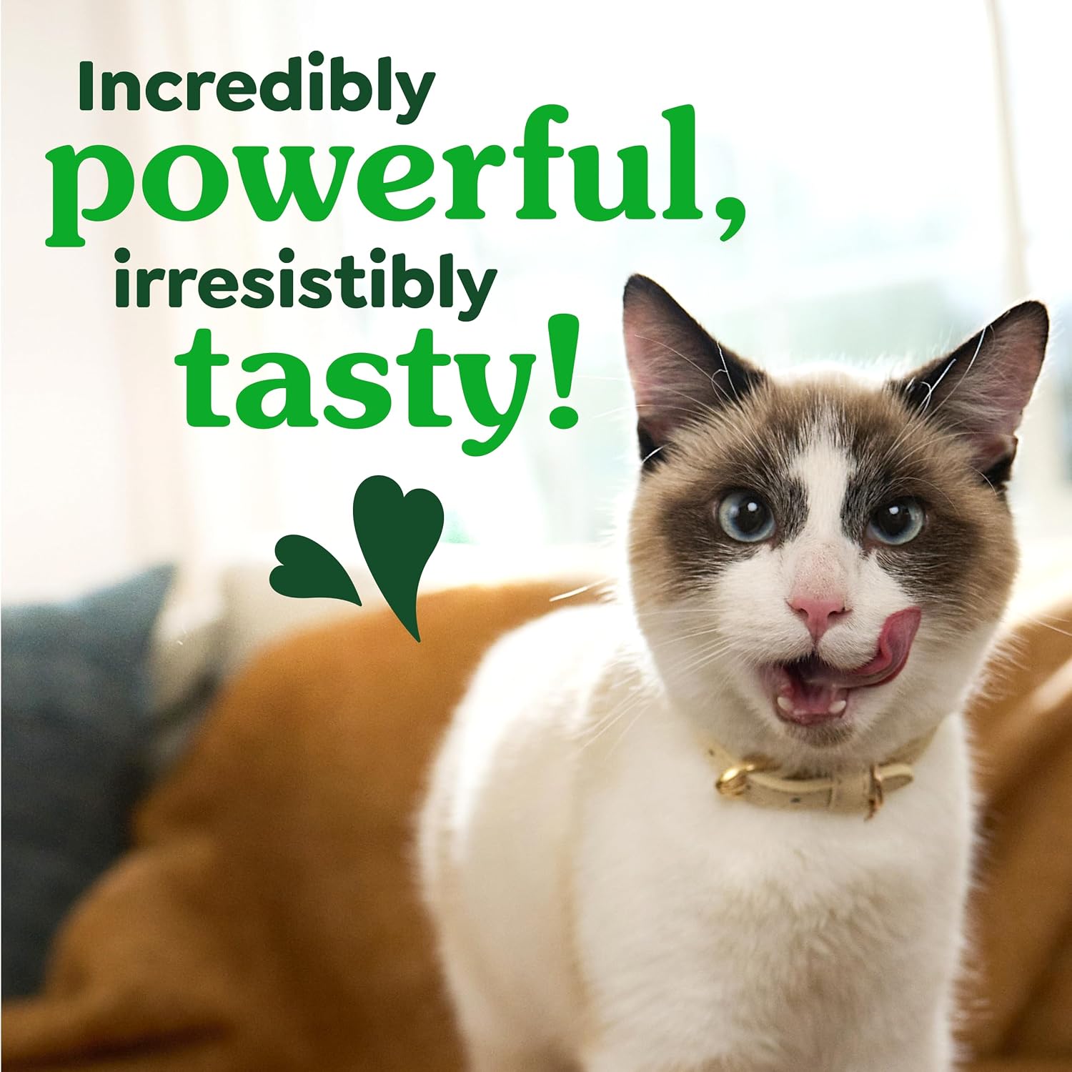 Greenies Cat Treats, Feline Veterinarian-Recommended Adult Natural Dental Cat Treats, Oven Roasted Chicken Flavor, 9.75 oz. Tub - Image 8