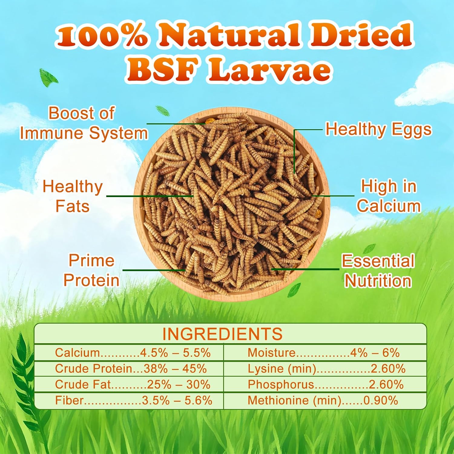 Amzey 11 LBS Dried Black Soldier Fly Larva - All Natural BSF Larvae - 85X More Calcium Than Mealworms - High Calcium Treats for Chickens, Birds, Reptiles, Hedgehog, Geckos, Turtles - Image 2