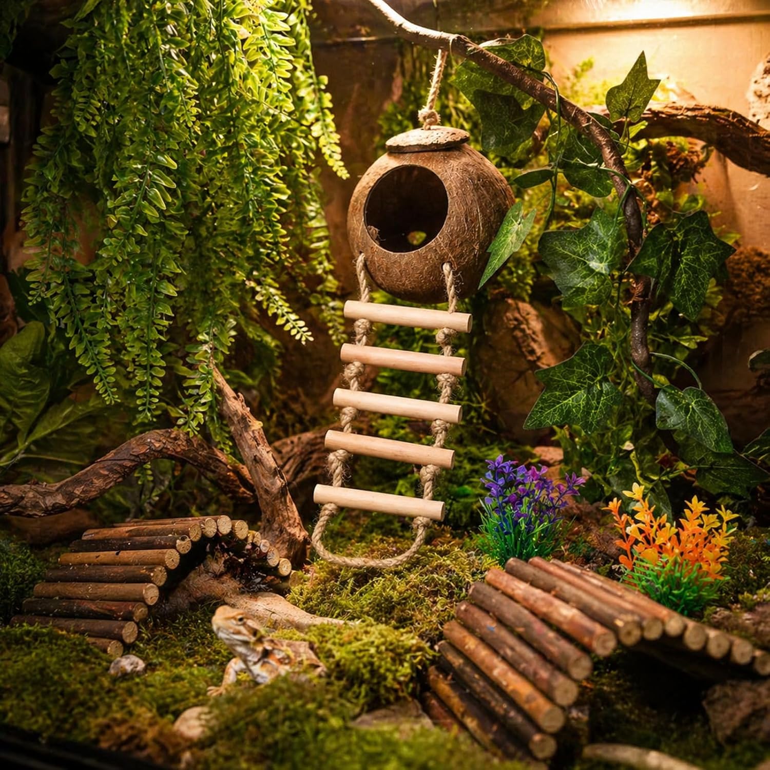 HERCOCCI Crested Gecko Tank Accessories, Reptile Hanging Plants Vines with Natural Coconut Shell Hideout & Climbing Ladder Decor for Hermit Crab Lizard Leopard Gecko Chameleon Snake Terrarium Decor - Image 2