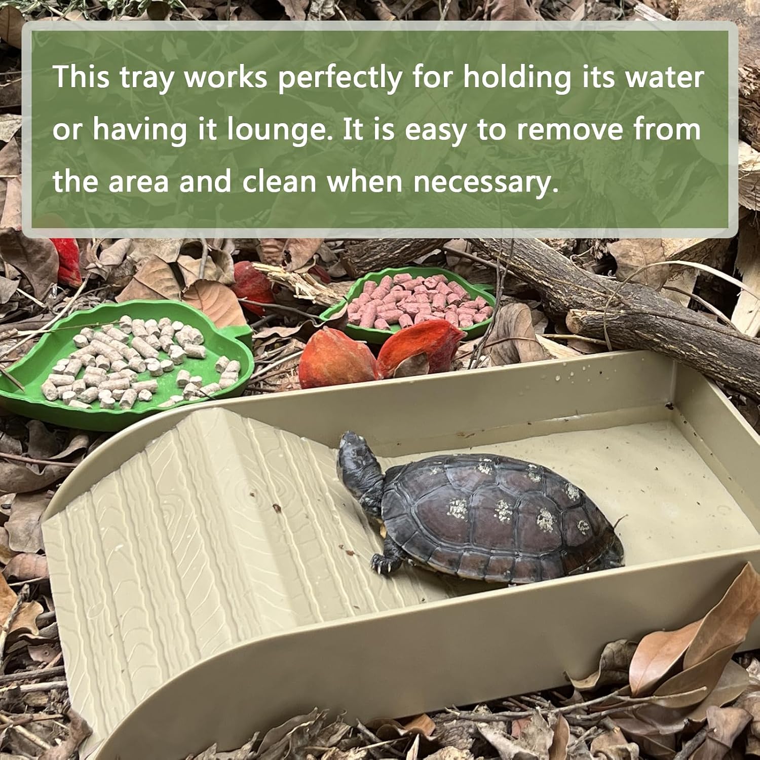 NGORAY Tortoise Feeding Dish with Ramp and Basking-Platform - Leaf Tortoise Water Food Bowls, Reptile Water Dish Amphibians Habitat, Reptile Water Bowl Fit for Amphibians with Forcep Cleaning Clip - Image 6