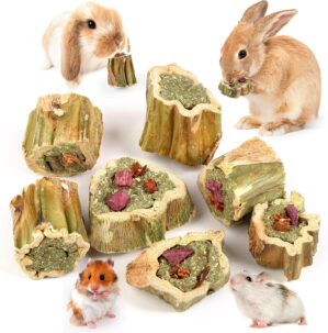 Abizoo Rabbit Chew Toys for Bunny N...