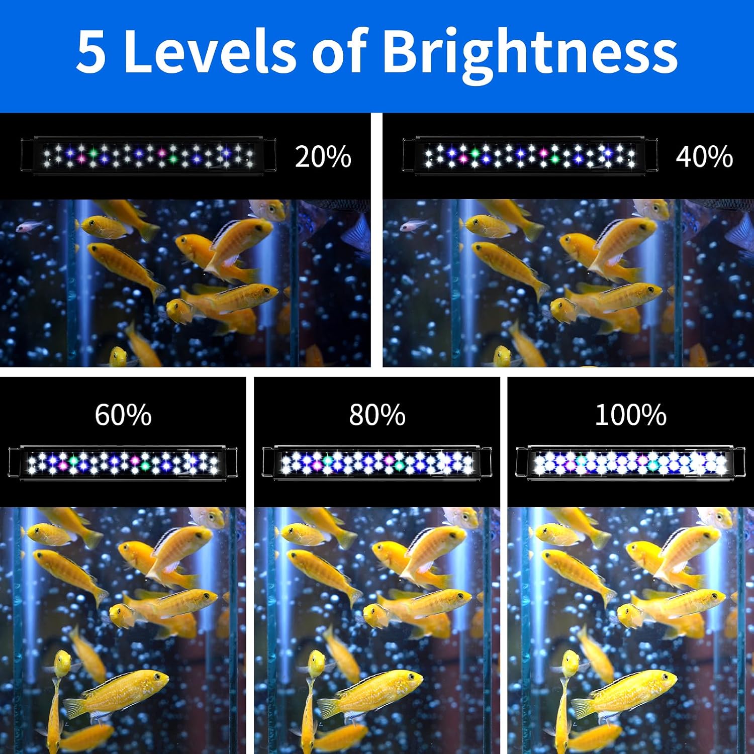AQUANEAT LED Aquarium Light for 12 Inch Fish Tank, Auto On Off with Timer, Full Spectrum, Adjustable Brightness, Daylight Moonlight Mode, for Fresh Water Low-to-Mid Light Plants - Image 3
