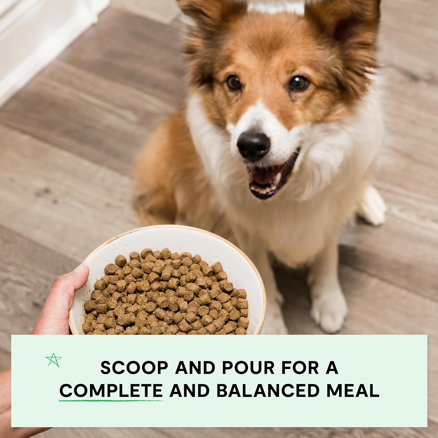 Open Farm, Grain-Free Dry Dog Food, Complete & Balanced Kibble, Sustainably & Ethically Sourced Ingredients, Non-GMO Veggies & Superfoods to Support Overall Health, Grass-Fed Beef Recipe, 4lb Bag - Image 4
