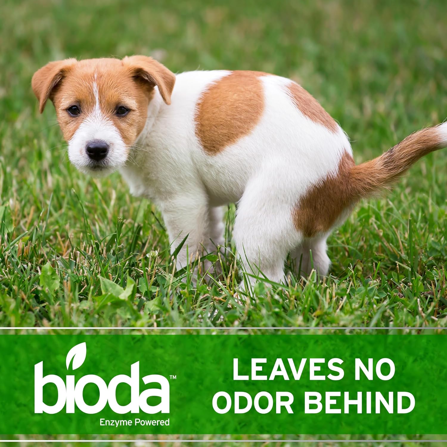 Bioda Probiotic Natural Outdoor Odor Eliminator, 1 gal Refill | Enzyme Cleaner Destroys Cat & Dog Odor, Neutralizer for Lawn, Artificial Grass, and Patios - Image 6