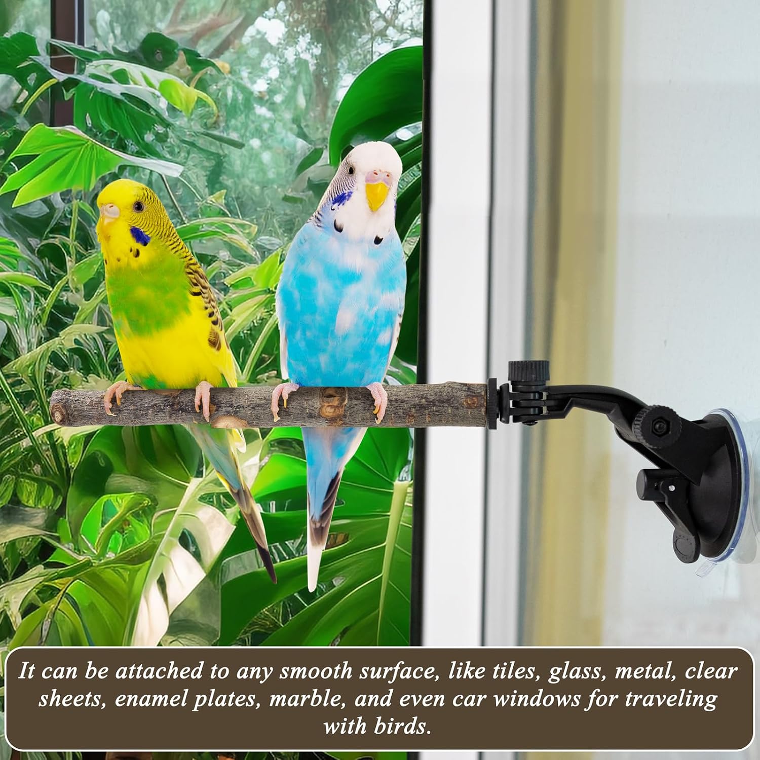 2 Pcs Parrot Perch Stand, Strong Suction Cup Bird Perch, Movable Perch Stand Bird Training Set, for Window Mirror Car Shower Ceramic Tiles Bath Wood Training Perch, for Bird, Cockatoo, Macaw, Parakeet - Image 5