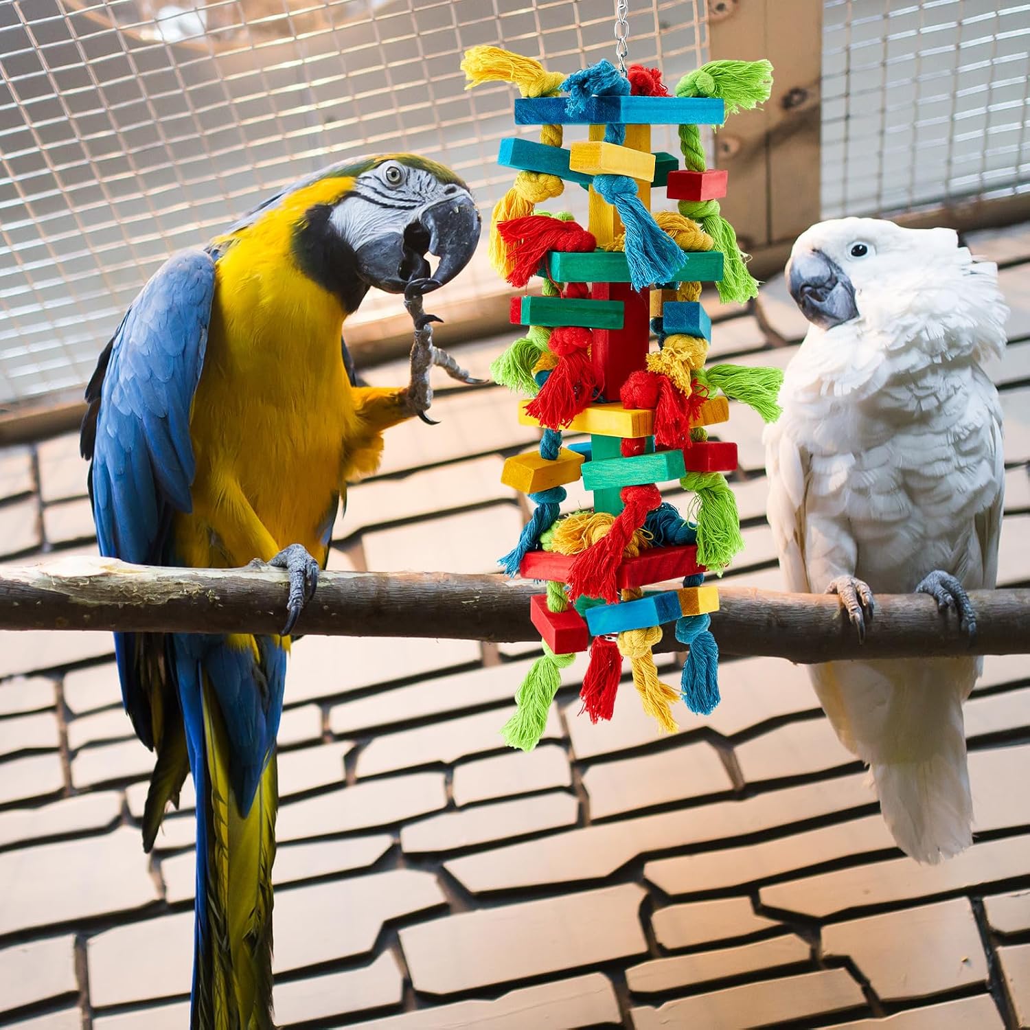 Seenelling 3 Pcs Extra Large Bird Parrot Toy Multicolored Natural Wooden Parrot Cage Chewing Toys for Large Medium Macaws Cockatoos African Grey Birds (Block and Ball) - Image 6