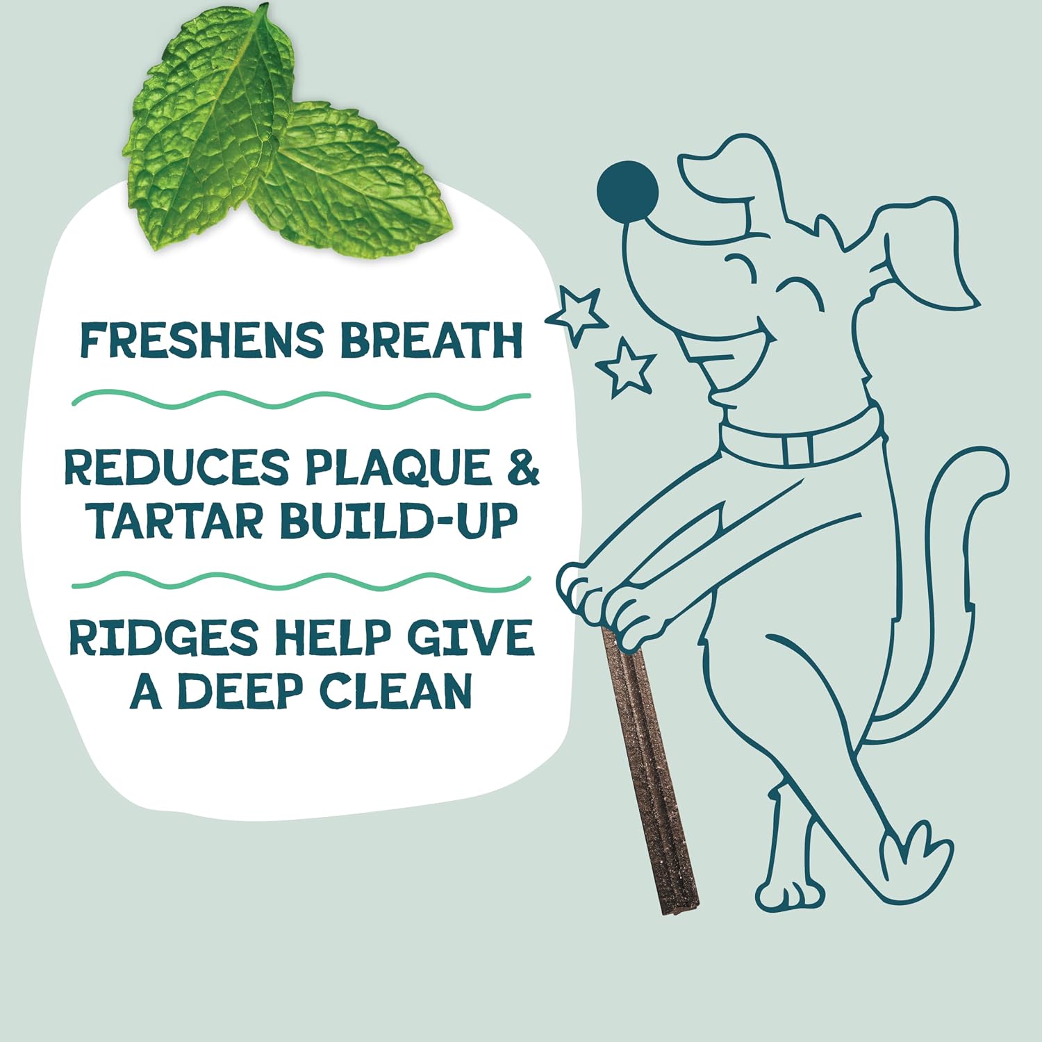 Shameless Pets Blueberry & Mint Dental Chews for Dogs, 8 Chews - Natural Dog Teeth Cleaning Treats with Fresh Breath Benefits | Grain-Free Dental Sticks for Small, Medium & Large Dogs - Image 4