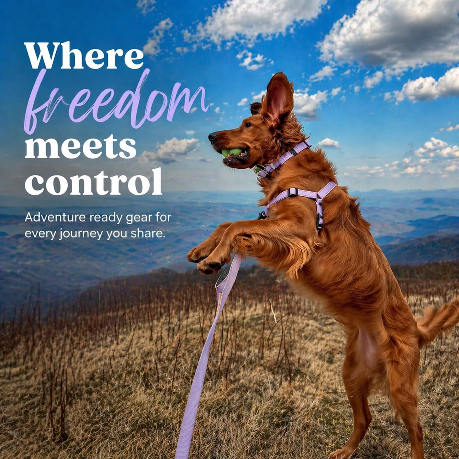 ShawnCo Dream Walk Pro Dog Harness- No-Pull, Comfortable, Adjustable, Easy to Use Pet Halter to Help Stop Pulling for Small, Medium and Large Dogs (Driftwood, Large) - Image 7