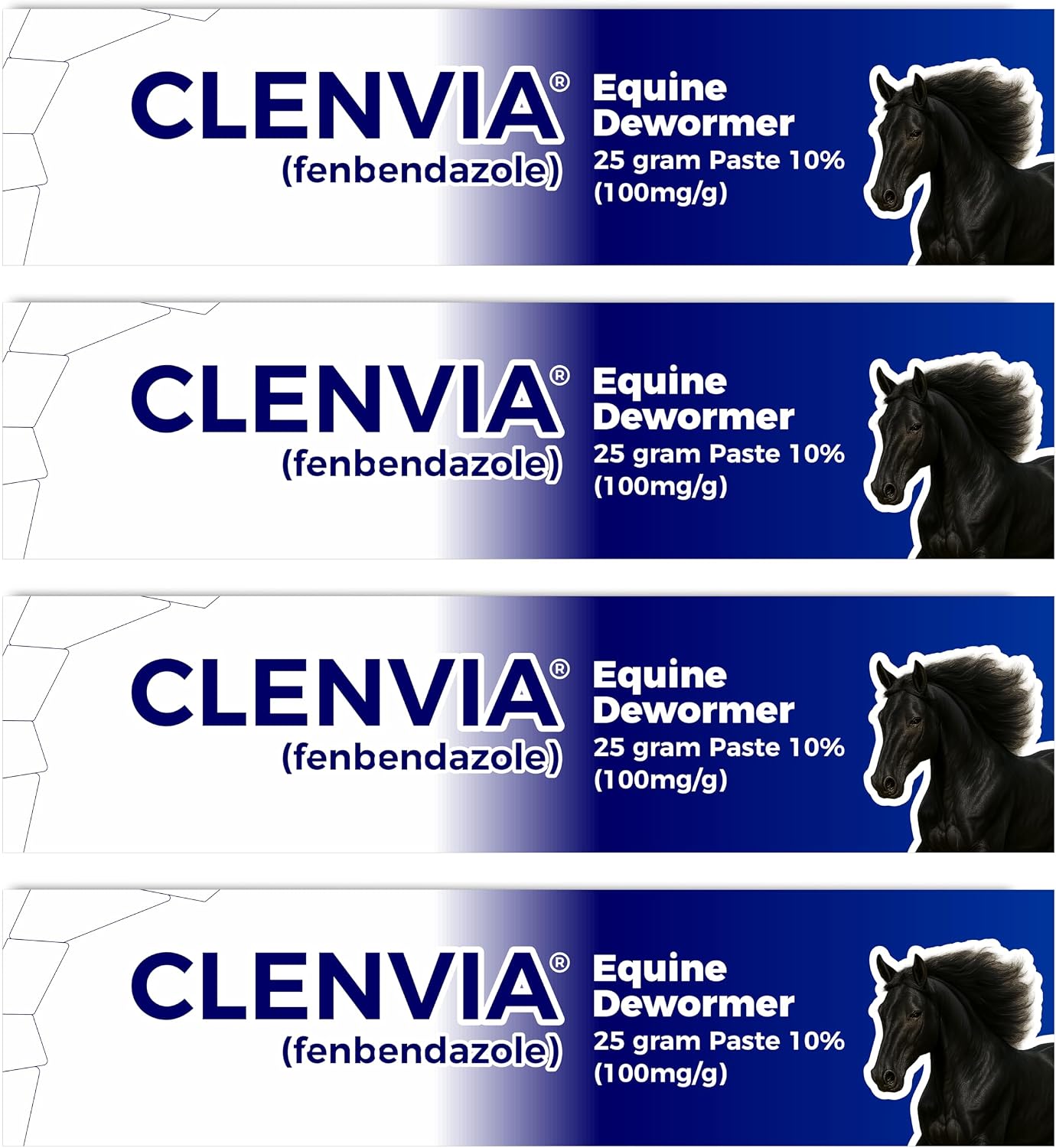 Horse Paste 10% – 4 Pack – 25g Syringes – Oral Deworming Paste for Horses of All Ages – Easy-to-Administer Equine Care