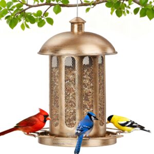Bird Feeder, Large Capacity Bird Fe...
