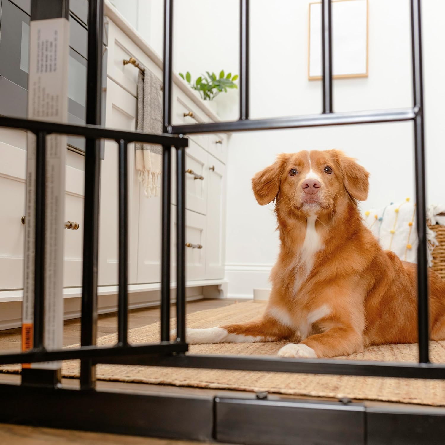 Carlson 29.5–36.5” Extra Wide Dog Gate with Small Pet Door, Walk-Through Pressure Mounted Metal Indoor Pet Safety Gate, Black, Tested and Trusted by Pet Parents, American Designed, American Owned - Image 4
