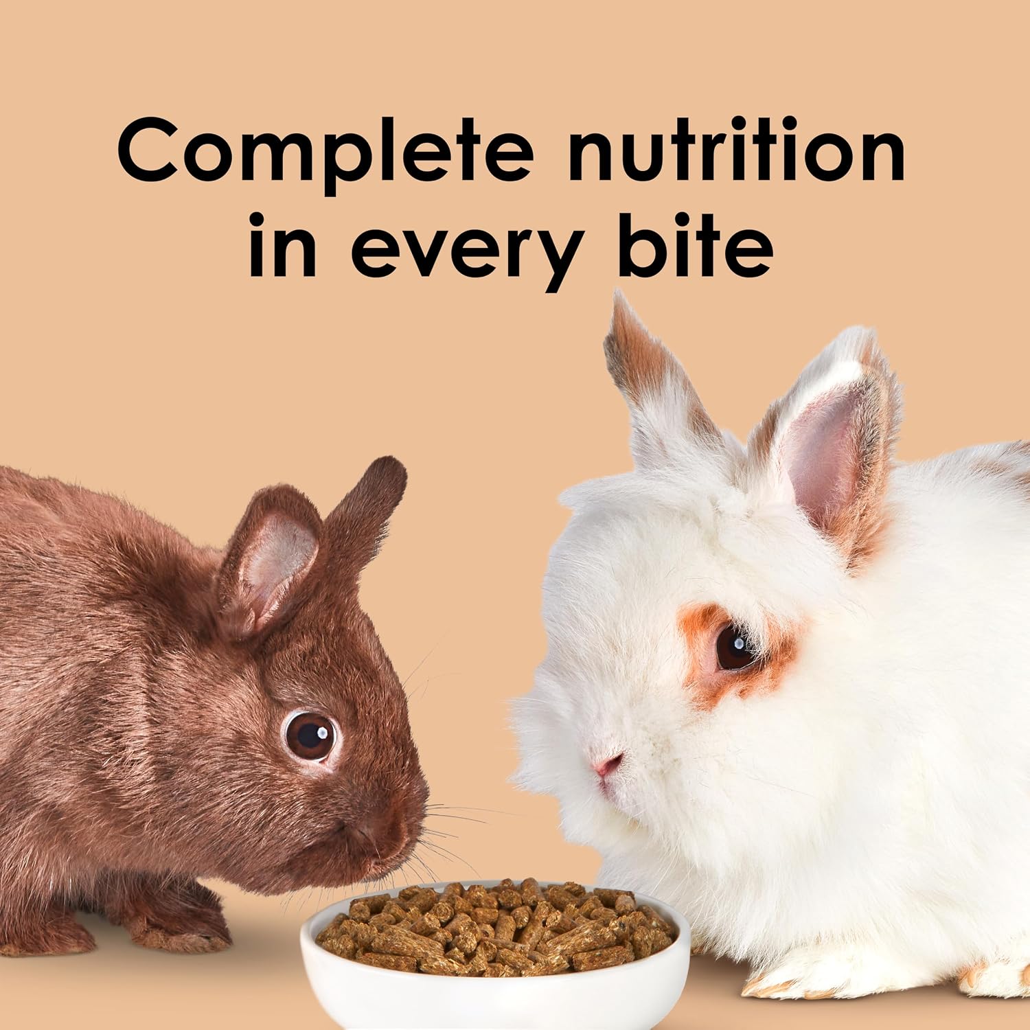 Kaytee Timothy Complete Rabbit Food, Made with Timothy Hay, High in Fiber, Supports Dental Health and Digestion, 9.5 pounds - Image 9