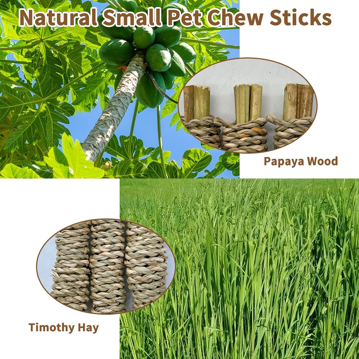 Fhiny 12 PCS Rabbit Chew Sticks, Natural Papaya Wood Seagrass Guinea Pig Chew Toys for Teeth Small Animal Molar Sticks Snacks for Bunny Guinea Pig Chinchilla Ferret Hamster Gerbil Dental Care - Image 2