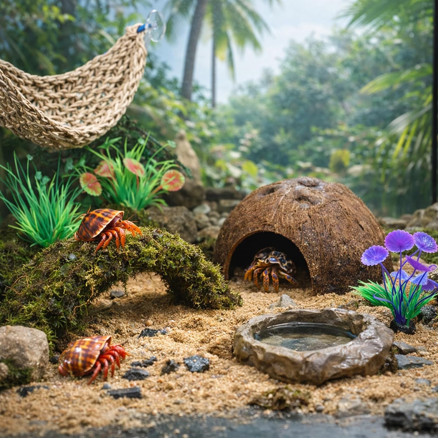 HERCCOCCI Hermit Crab Accessories, 6Pcs Hermit Crab Toys Coconut Shell Hut Climbing Hammock Artificial Plants for Hermit Crabs - Image 4