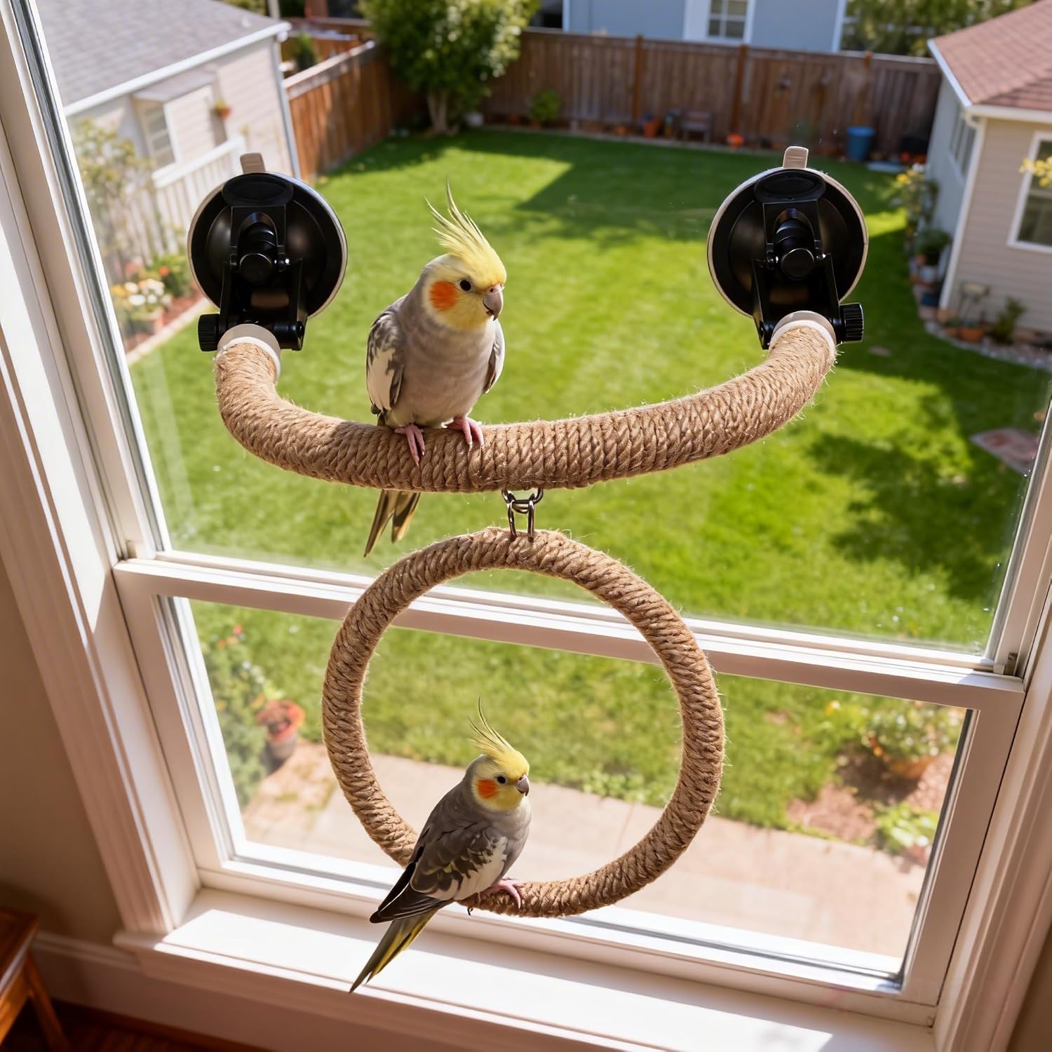 Natural Flax Bird Perch Stand, Strong Suction Cups Bird Window Perch | Movable Parrot Training Perch for Window Mirror Car Tiles | Universal for Budgie, Cockatiel, Conure (U-Shaped Perch + Swing)