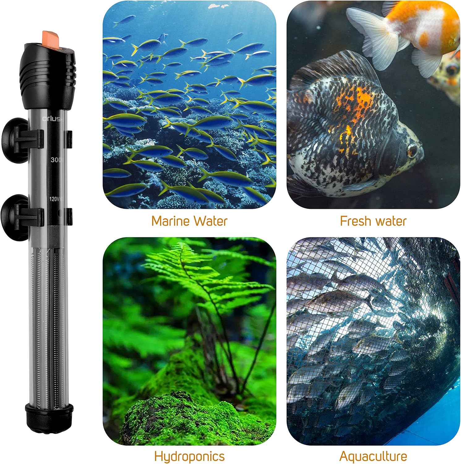 Orlushy Submersible Aquarium Heater, Adjustable Fish Tahk Heater with Free Thermometer Suitable for Marine Saltwater and Freshwater - Image 4