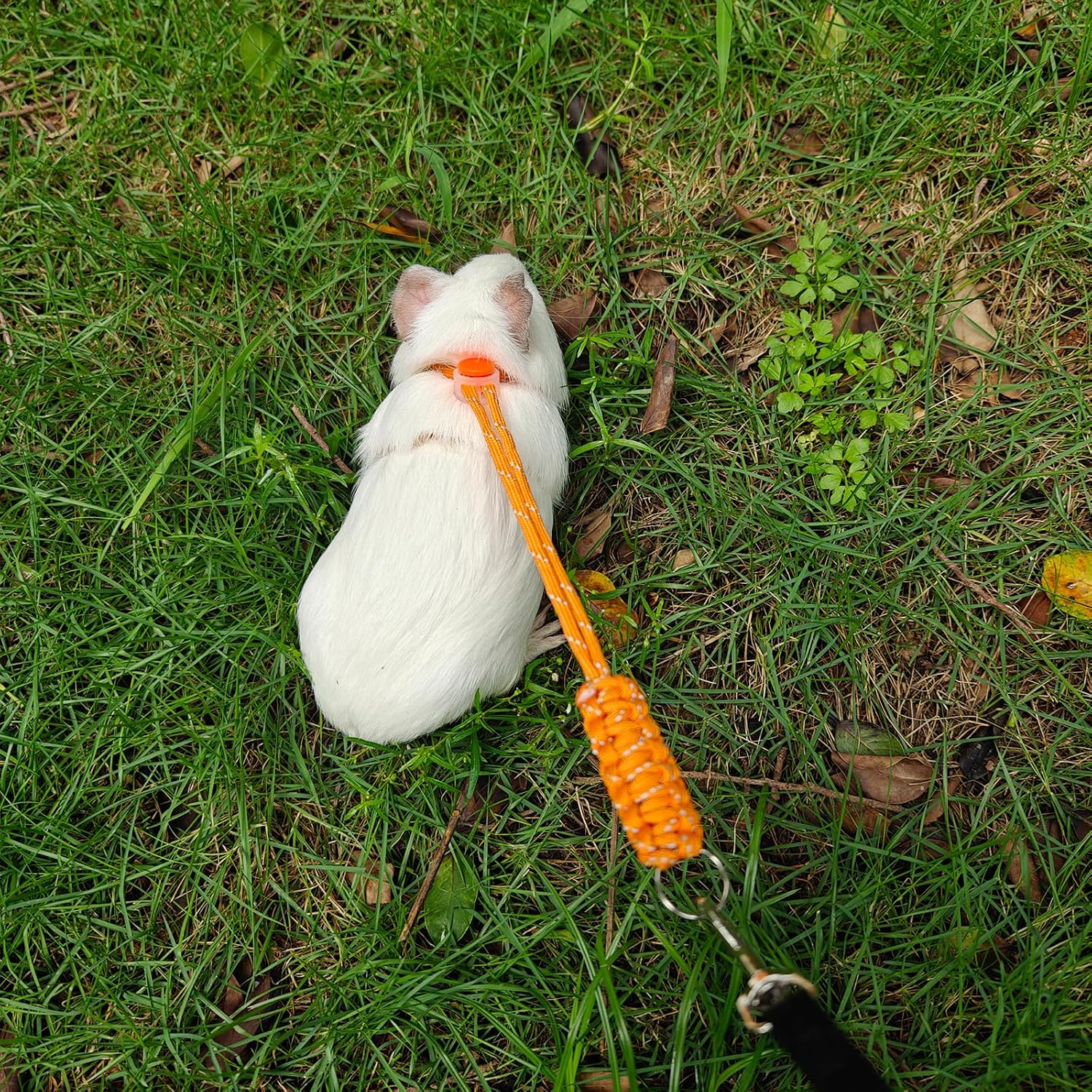 Handmade Figure 8 Harness and Leash for Ferrets/Guinea Pigs/Rats | Adjustable, Lightweight & Safe | Fits Small Animals: Bunnies/Bearded Dragons/Chinchillas/Reptiles/Birds/Squirrels/Rabbits - Image 6