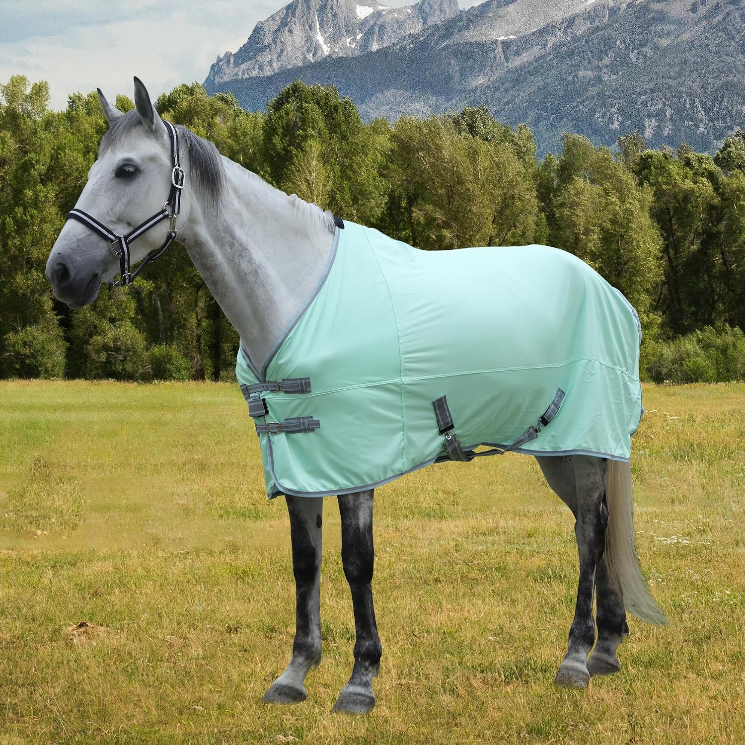 Horse Fly Sheet Lining, Breathable Mesh Horse Sheets, Equine Summer Sheets UV Protection, Bug Mosquito FlySheet for Stable, Pasture, Barn - Standard Neck - Mint Green 78" - Image 7