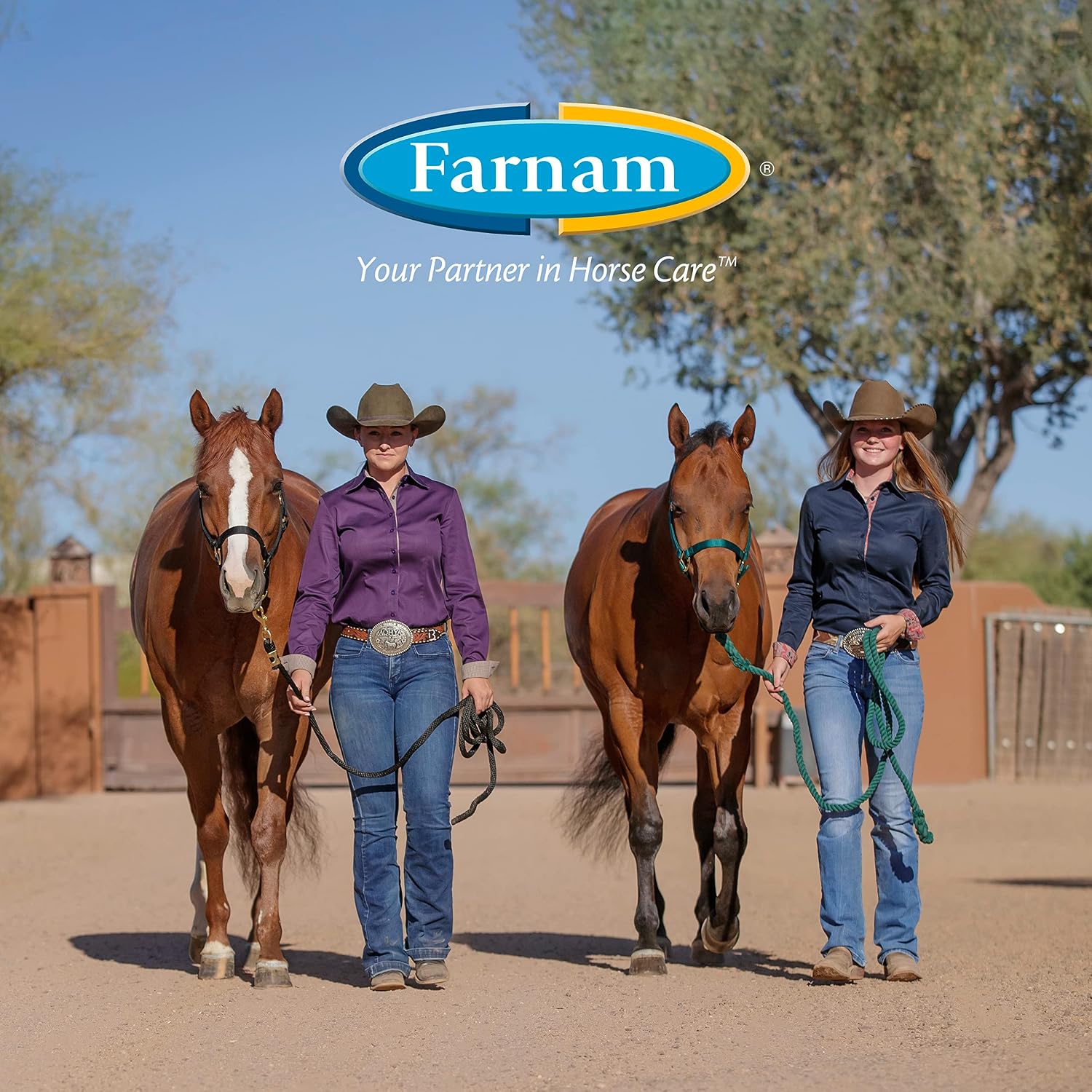 Farnam Horseshoer's Secret Deep-Penetrating Hoof Oil for Horses, Conditions Dry Hooves, Prevents Cracks, Splits & Contracted Heels, Contains Avocado, Glycerine & Mineral Oils, Fast Absorbing, 32 Oz - Image 8