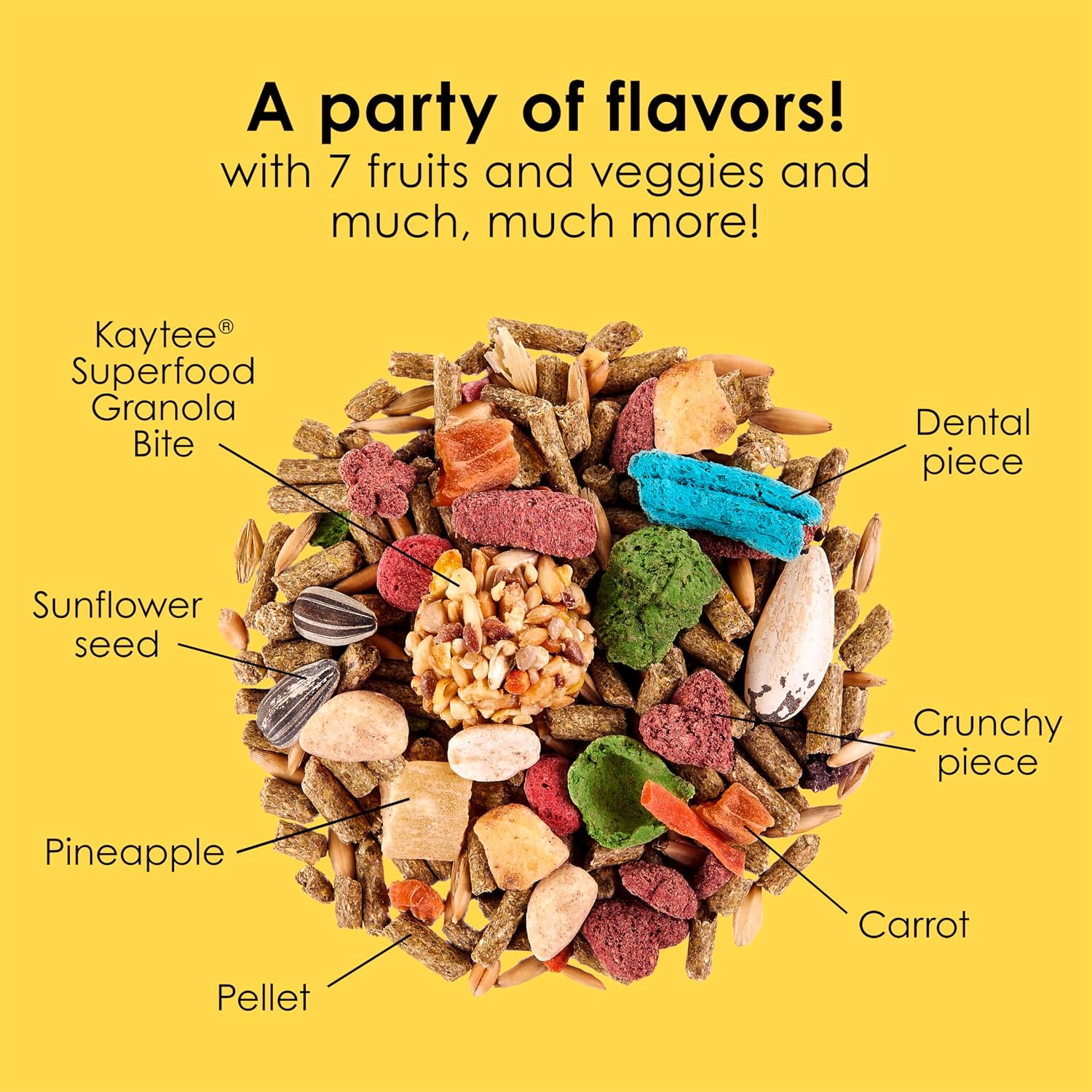 Kaytee Fiesta Chinchilla Food, Nutritious and Fun Blend, Supports Dental Health and Digestion, 2.5 pounds - Image 7