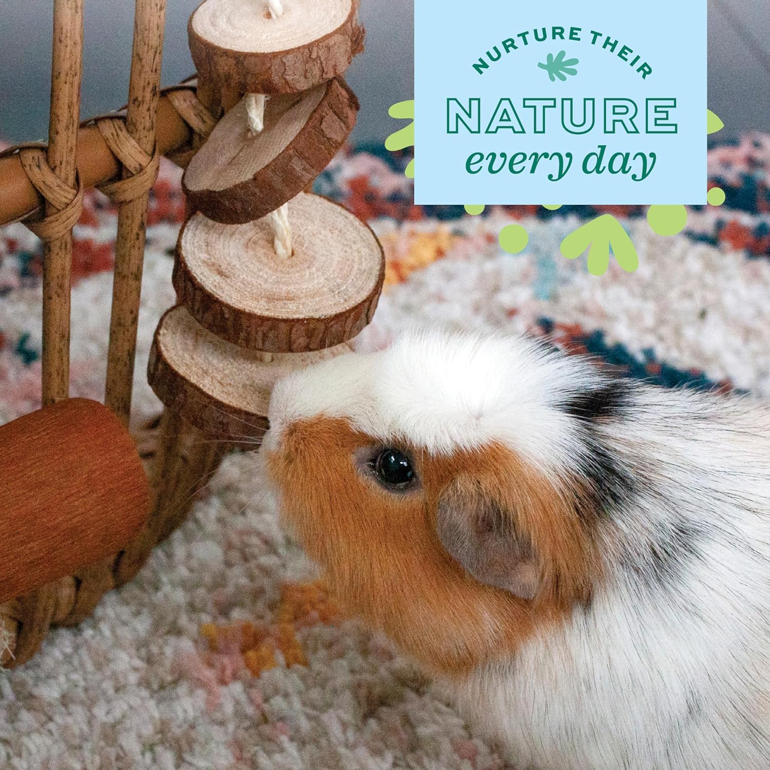 Oxbow Enriched Life Natural Dangly Party Pack, Rabbit Toys, Guinea Pig Toys, Enrichment for Bunny, Guinea Pig, Hamster Stuff, Rabbit Enrichment, Chinchilla, Rat, Chinchilla Cage Accessories - Image 6