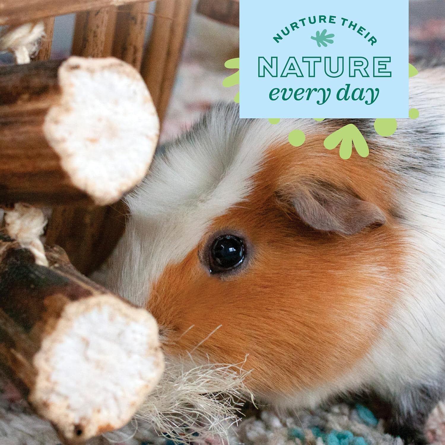 Oxbow Enriched Life Natural Dangly Party Pack, Rabbit Toys, Guinea Pig Toys, Enrichment for Bunny, Guinea Pig, Hamster Stuff, Rabbit Enrichment, Chinchilla, Rat, Chinchilla Cage Accessories - Image 8
