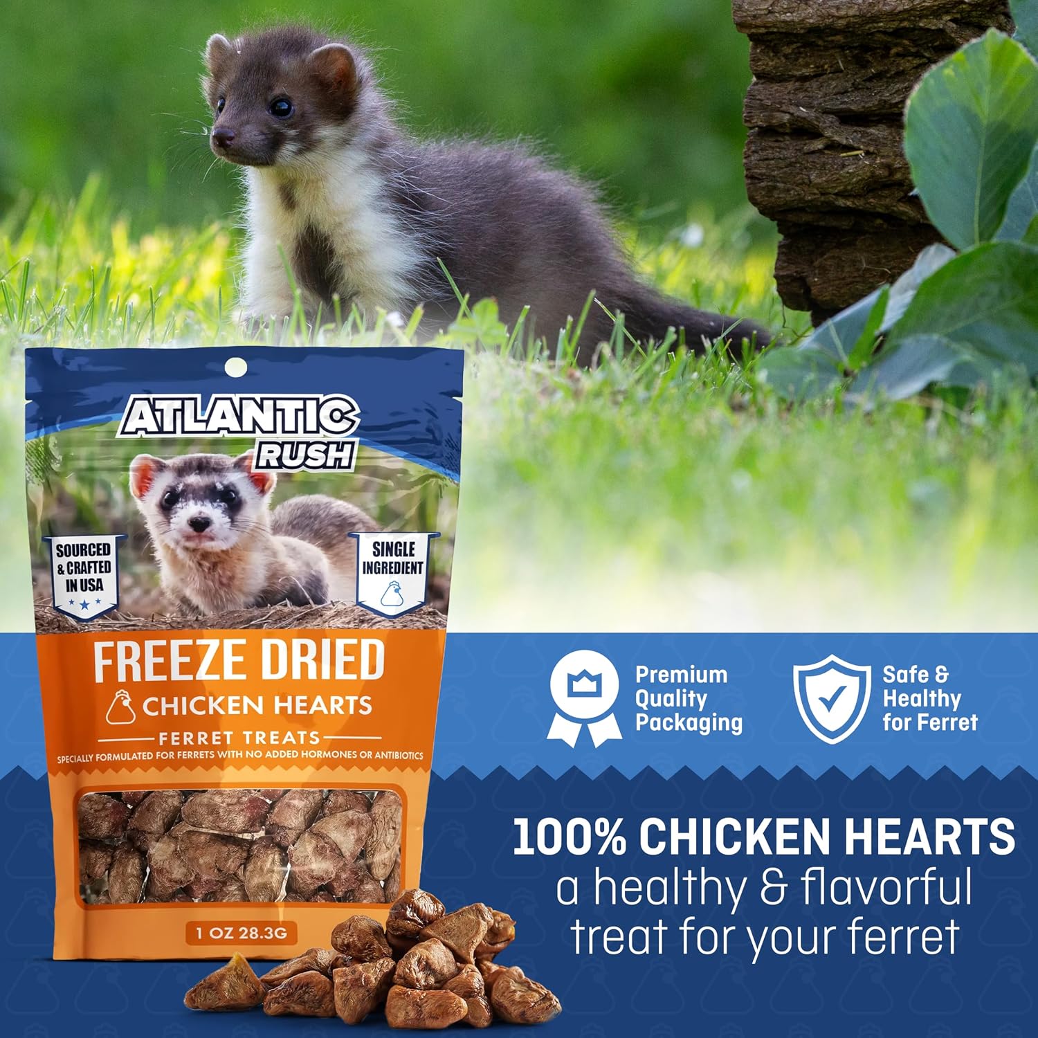 Freeze Dried Small Pet Treats - Resealable Bag of Treats for Ferrets - Ferret Snacks - Single Ingredient Ferret Food With No Preservatives Or Fillers- Small Animals Treats (1oz, chicken Heart) - Image 2
