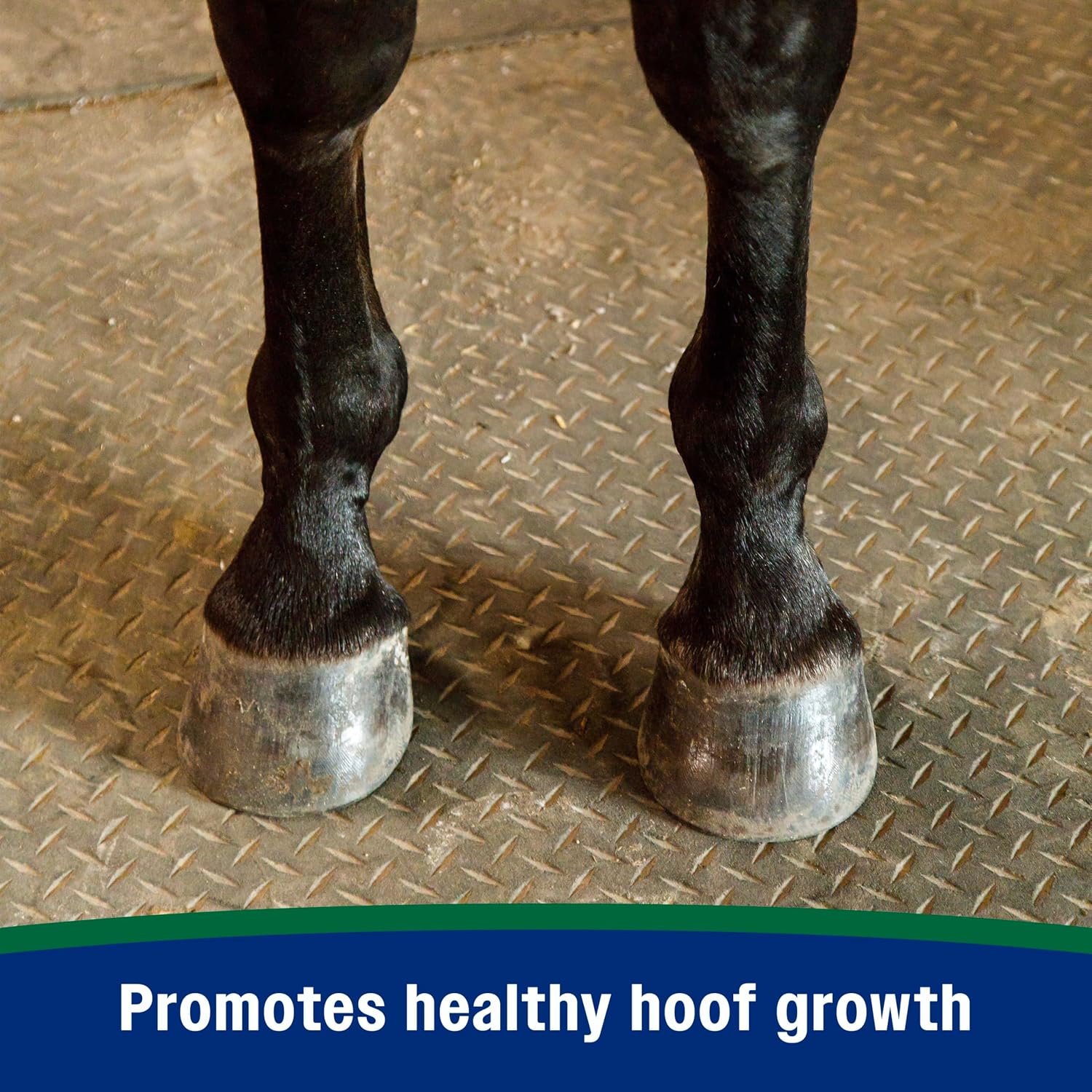 Farnam Horseshoer's Secret Pelleted Hoof & Biotin Supplements, Nutrient-Rich Formula with Amino & Fatty Acids, Omega-3 Minerals, Promotes Hoof Growth & Supports Cracked Hooves, 11 lb, 30-Day Supply - Image 4