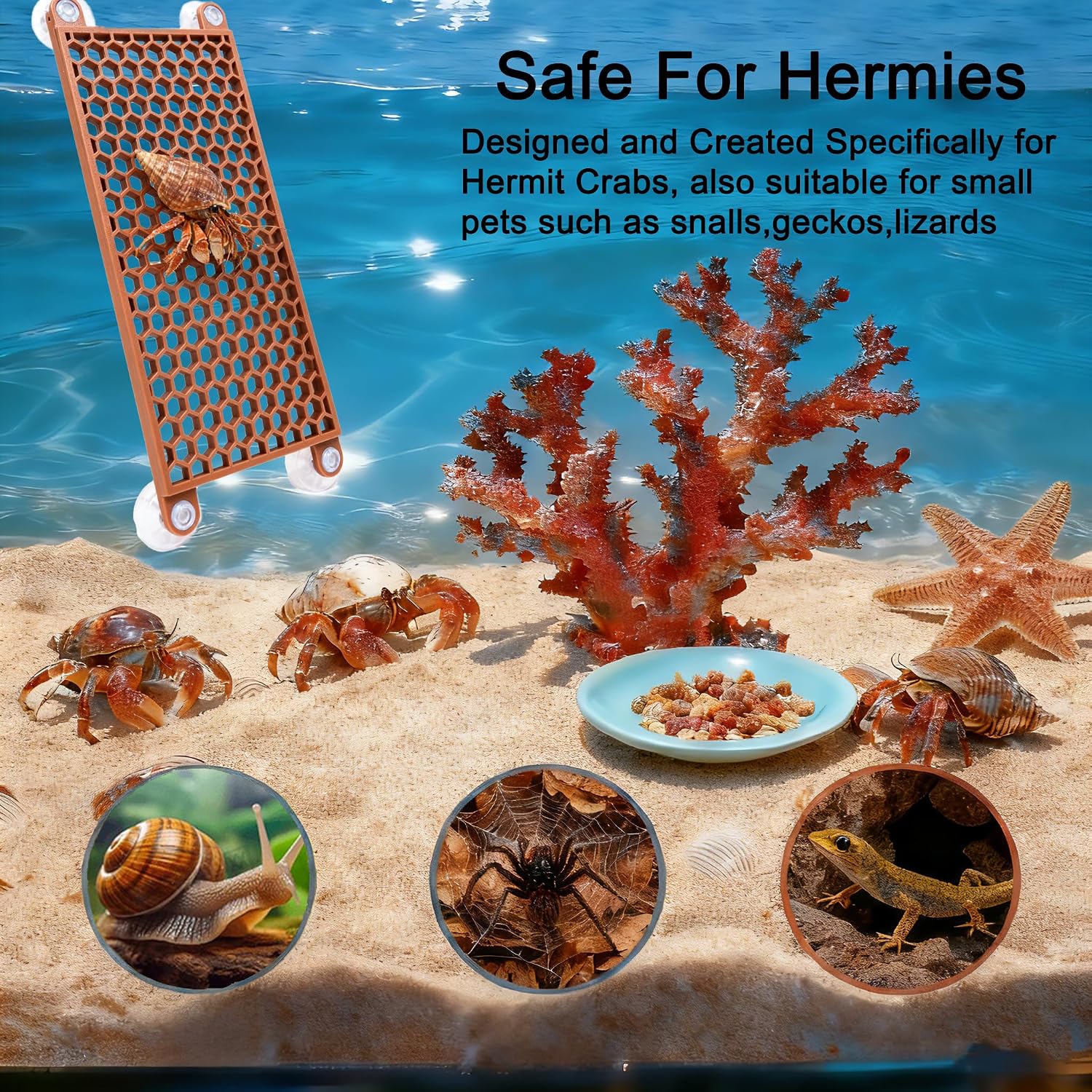 Hermit Crab Climbing Toy, Reptile Habitat Decor Exercise Playground Hermit Crab Accessories for Tank and Aquarium Decoration (Brown) - Image 5
