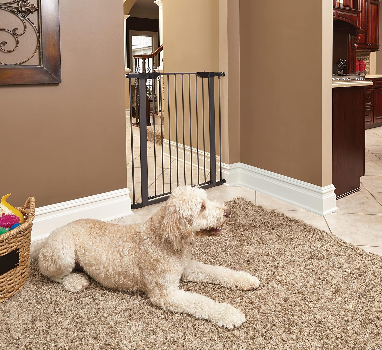 Midwest 39" Steel Walk-Thru Dog Gate, Graphite | Pressure Mounted, Expands 29.5"- 38" Wide, Auto-Close Door, Spring-Loaded Latch, Includes Two 3" Extensions - Image 2