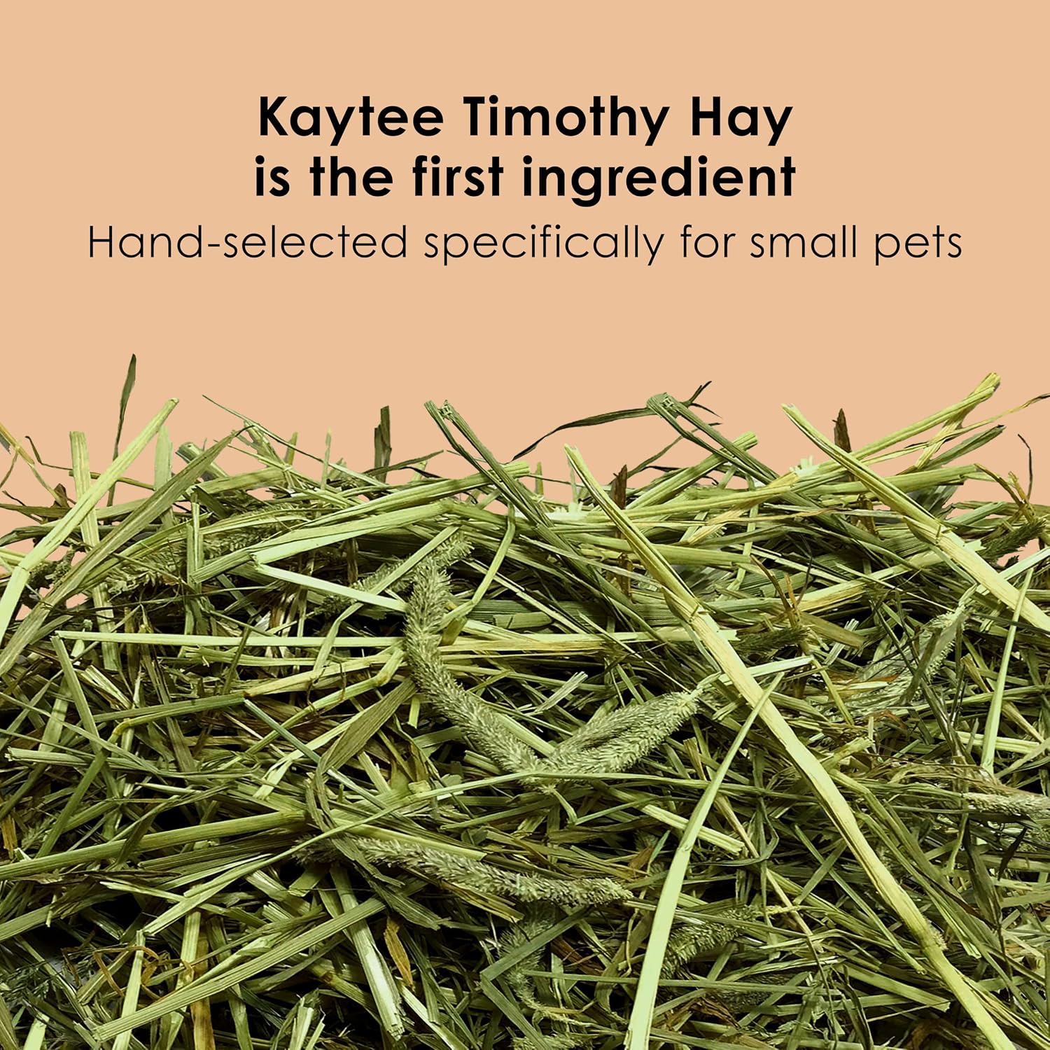 Kaytee Timothy Complete Rabbit Food, Made with Timothy Hay, High in Fiber, Supports Dental Health and Digestion, 9.5 pounds - Image 3