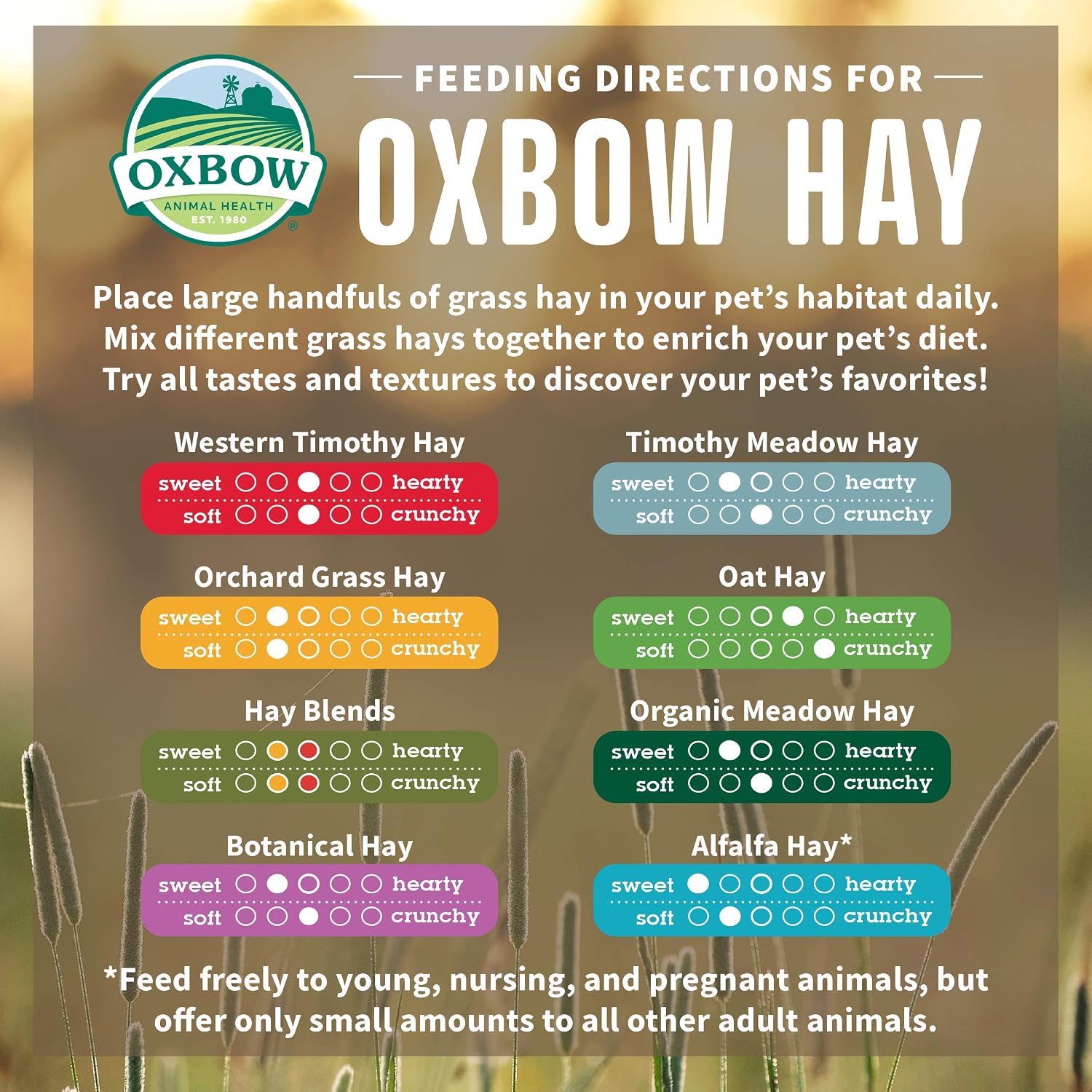Oxbow Organic Meadow Hay, Guinea Pig & Rabbit Hay, Small Pet Bunny Supplies, All Natural Grass for Guinea Pig, Bunny, Chinchilla & Hamster, Rabbit Supplies for Bunnies, 40 oz Bag - Image 5