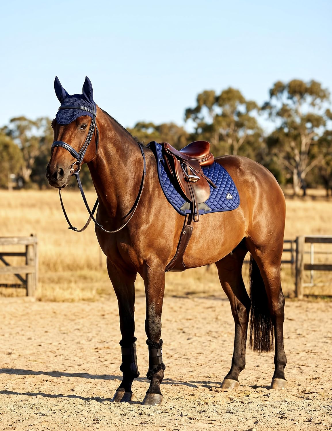 FitsT4 Sports Saddle Pads for Horses Breathable English Half Pad Shock Absorbing - Image 6