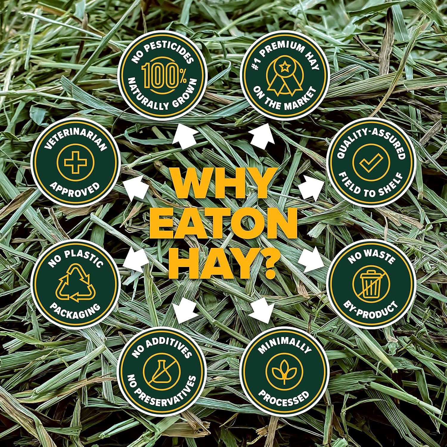 Eaton Pet and Pasture Naturally Grown, Premium, 1st Cut Blend, Western Timothy Hay Orchard Blend, Small Animal Food, Sustainable, Eco-Friendly, Farmer-Owned, 6LB-Box. - Image 5