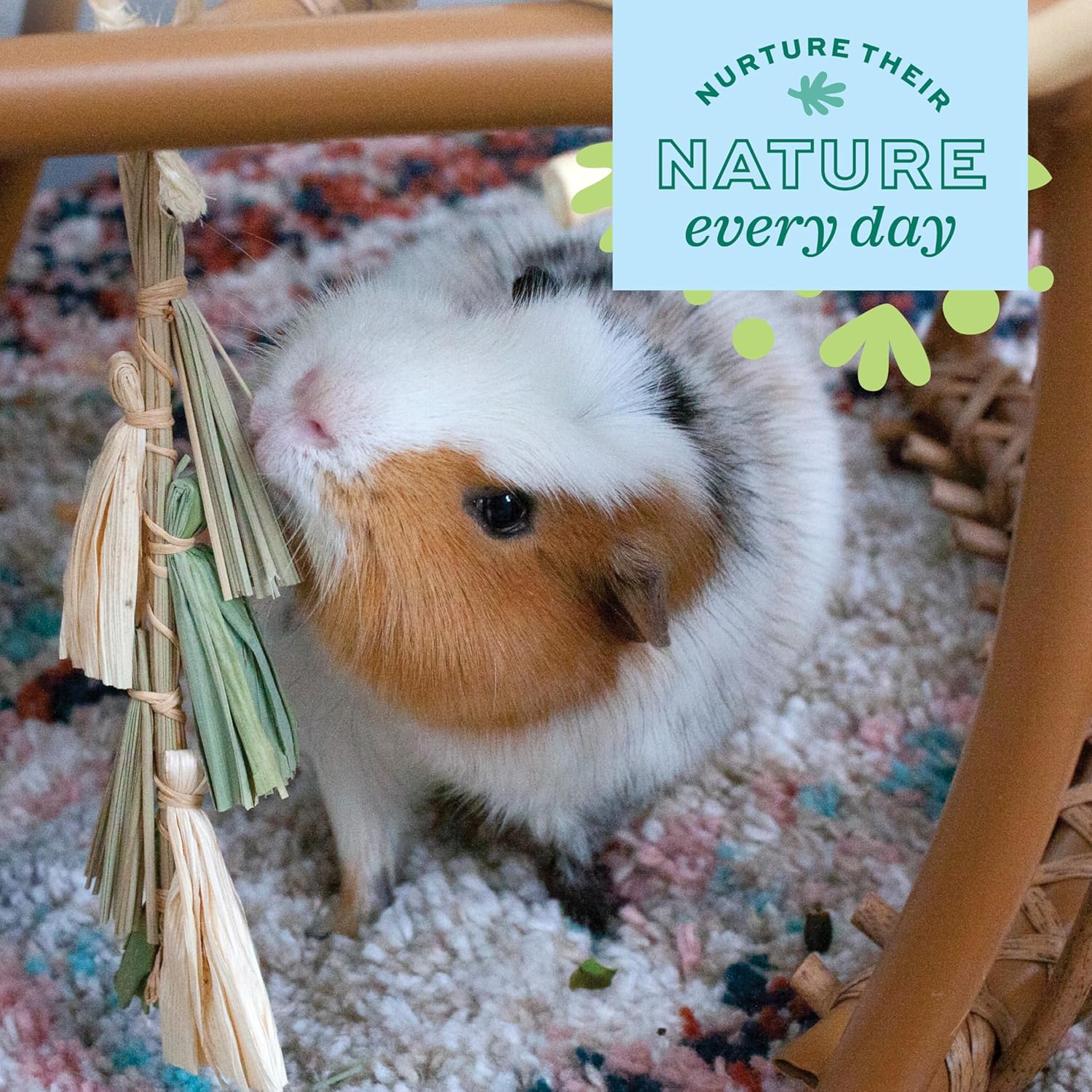 Oxbow Enriched Life Natural Dangly Party Pack, Rabbit Toys, Guinea Pig Toys, Enrichment for Bunny, Guinea Pig, Hamster Stuff, Rabbit Enrichment, Chinchilla, Rat, Chinchilla Cage Accessories - Image 7
