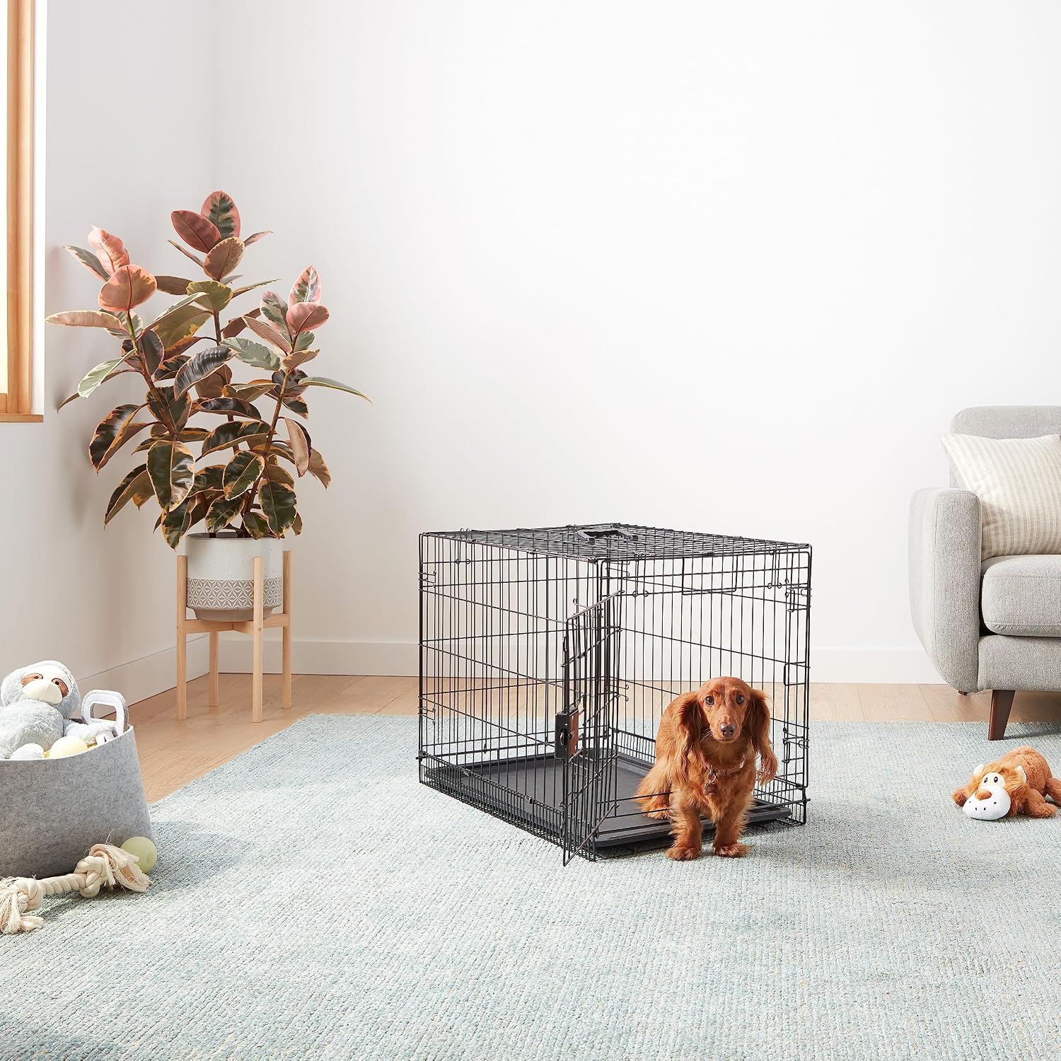 Amazon Basics Portable, Foldable Metal Wire Dog Crate with Removable Tray, Single Door, Divider Panel, Quick Setup, 30 x 19 x 21 in, Black - Image 5