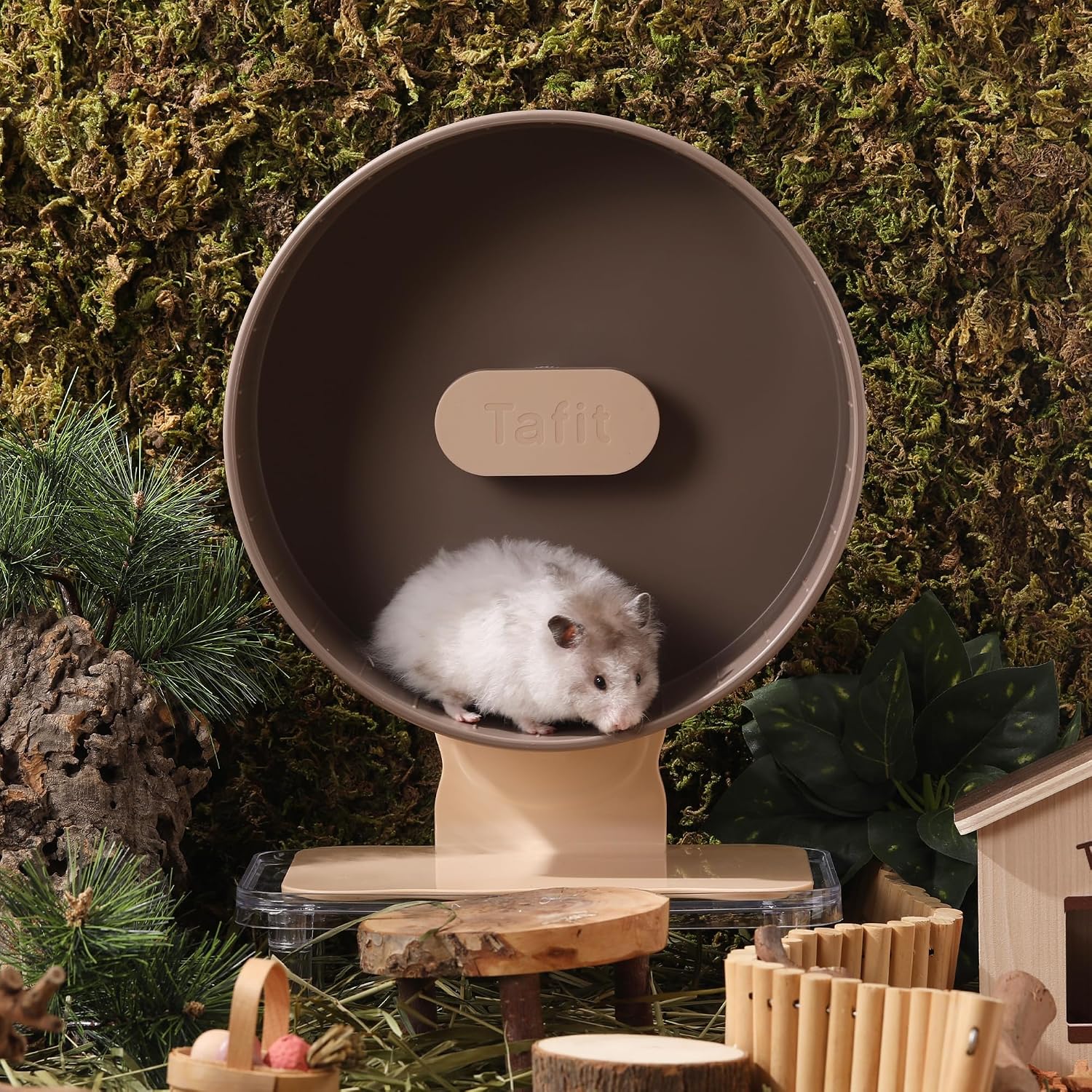 Quiet Hamster Wheel 10.2 Inch Dual-Bearings Silent Small Animals Running Exercise Wheel Height Adjustable for Syrian Hamsters, Gerbils, Rats, or Other Small Pets, Nut Brown - Image 2