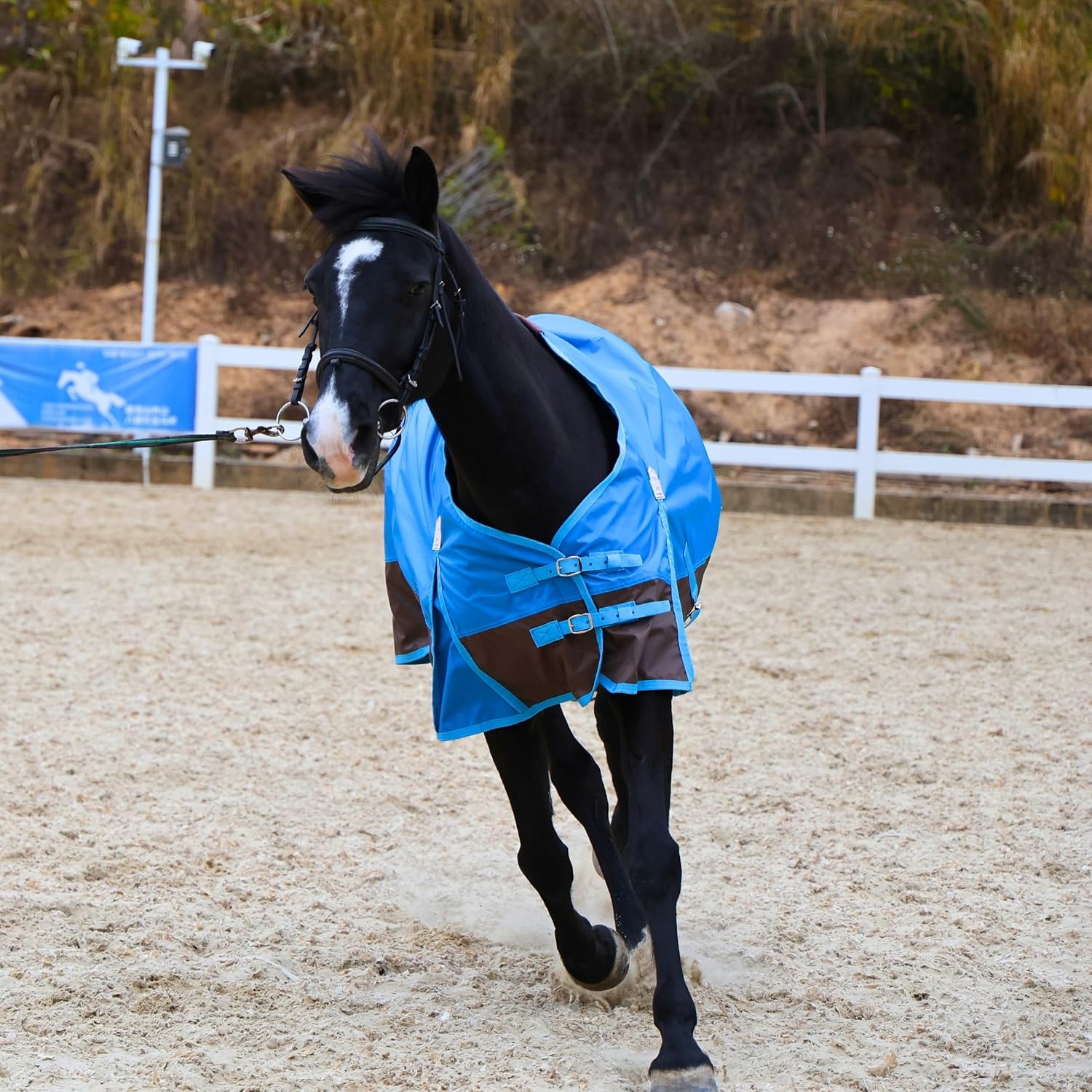 BARN & STABLE 420D Ripstop Lightweight Horse Turnout Sheet, No Fill, Water-Resistant & Breathable Horse Blanket for Spring and Mild Weather, with Anti-Rub Fleece Withers - Image 2