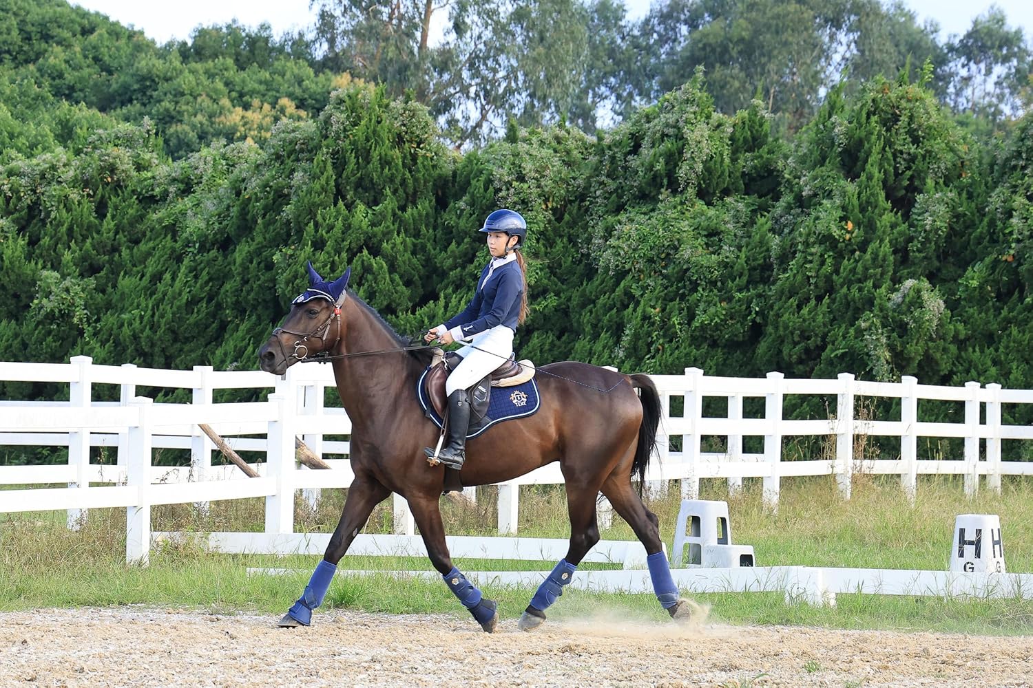 T TEKE Close Contact Saddle Pads,100% Cotton English Saddle Pads for Horses with Moisture-Wicking and Breathable Lining - Image 4