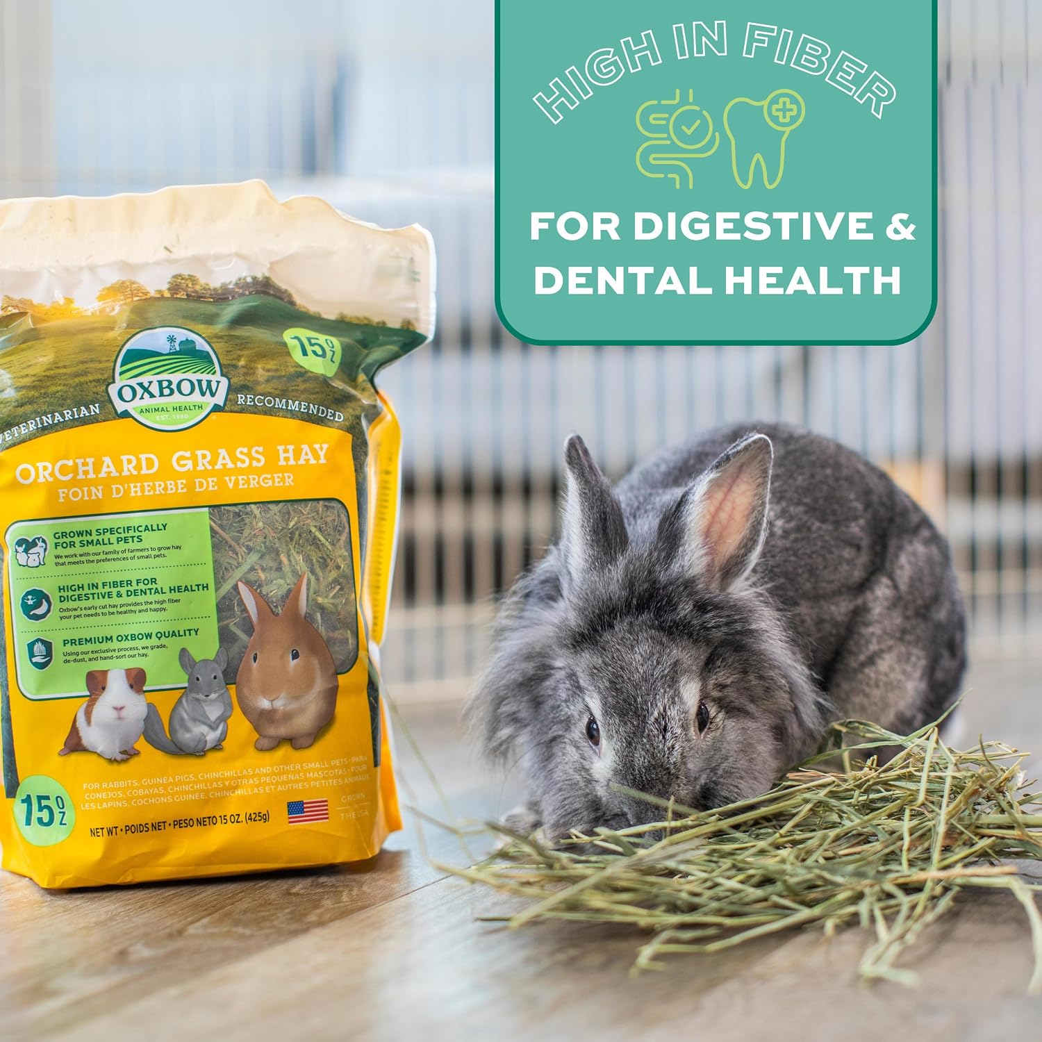 Oxbow Animal Health Orchard Grass, Guinea Pig Hay, Rabbit Hay, Small Pet Bunny Supplies, All Natural Grass for Guinea Pig, Bunny, Chinchilla & Hamster, Oxbow Rabbit Supplies for Bunnies, 9 lb. box - Image 13