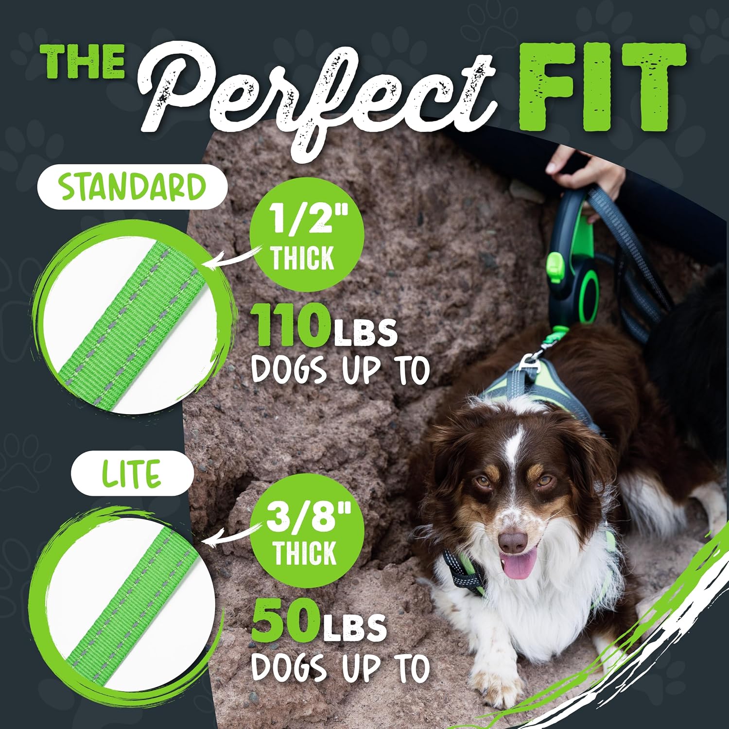 Mighty Paw Retractable Dog Leash 2.0 | 16' Heavy Duty Reflective Nylon Tape Lead for Pets up to 0-50 lbs. Tangle Free Design W/One Touch Quick-Lock Braking System & Anti-Slip Handle (Green/Lite) - Image 2