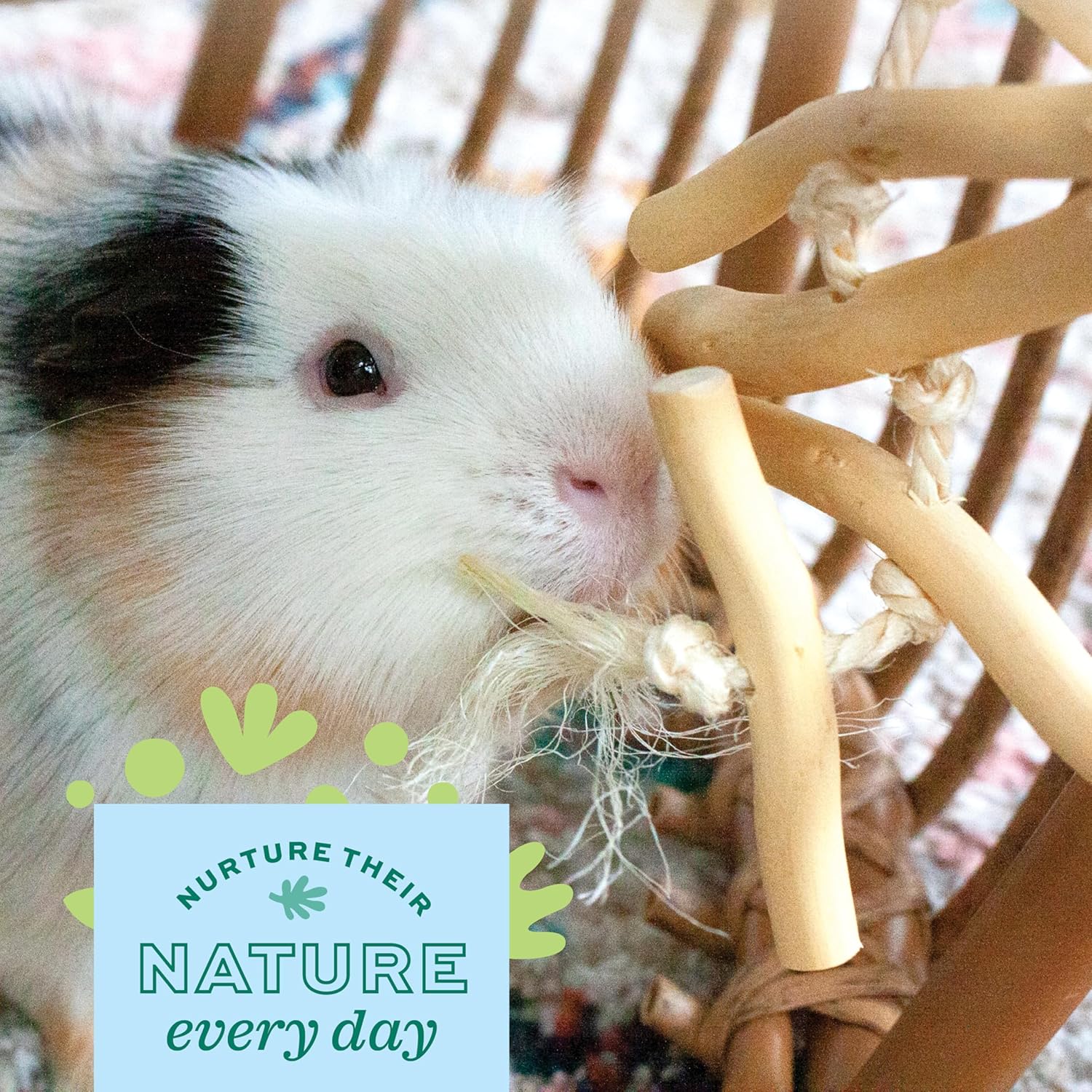 Oxbow Enriched Life Natural Dangly Party Pack, Rabbit Toys, Guinea Pig Toys, Enrichment for Bunny, Guinea Pig, Hamster Stuff, Rabbit Enrichment, Chinchilla, Rat, Chinchilla Cage Accessories - Image 5