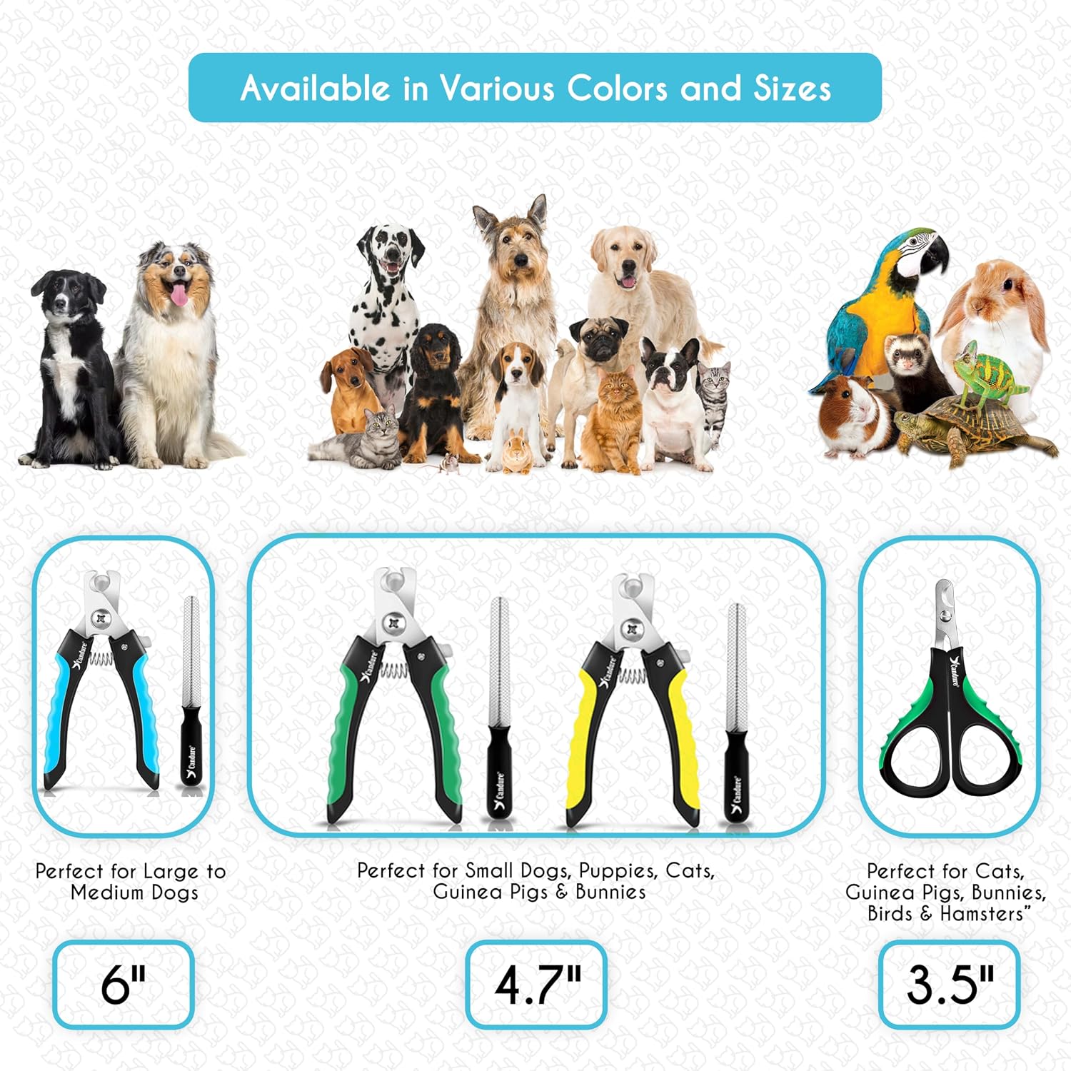 Candure Cat Nail Clipper Stainless Steel Cat Claw Trimmers for Rabbits, Guinea Pigs, Birds, Puppies, Kittens and Small Animals Pet Nail Clipper for Professional and Home Use (Blue) - Image 8
